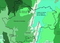 Carte des régions forestières. IFEN. 2014 en grand format (nouvelle fenêtre)