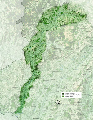 Vallée de l'Arroux carte arbre et forêt en grand format (nouvelle fenêtre)