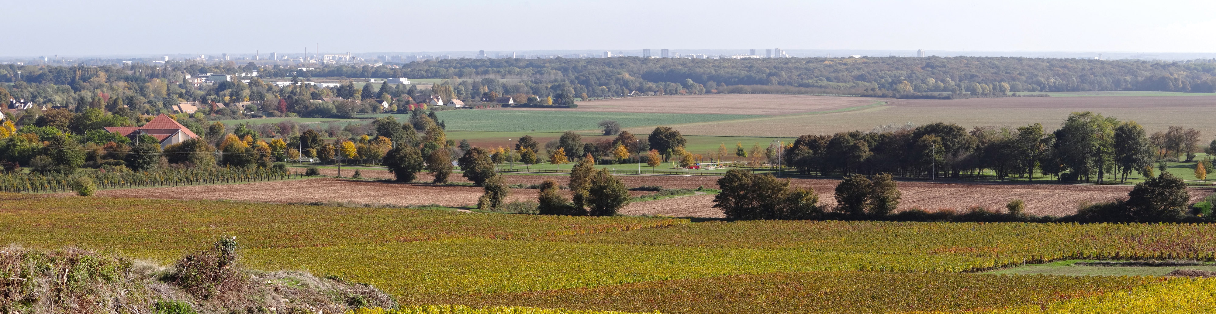 La Côte Chalonnaise offre de nombreux belvédères sur la vallée de la Saône et sur la silhouette de Chalon-sur-Saône. Givry en grand format (nouvelle fenêtre)