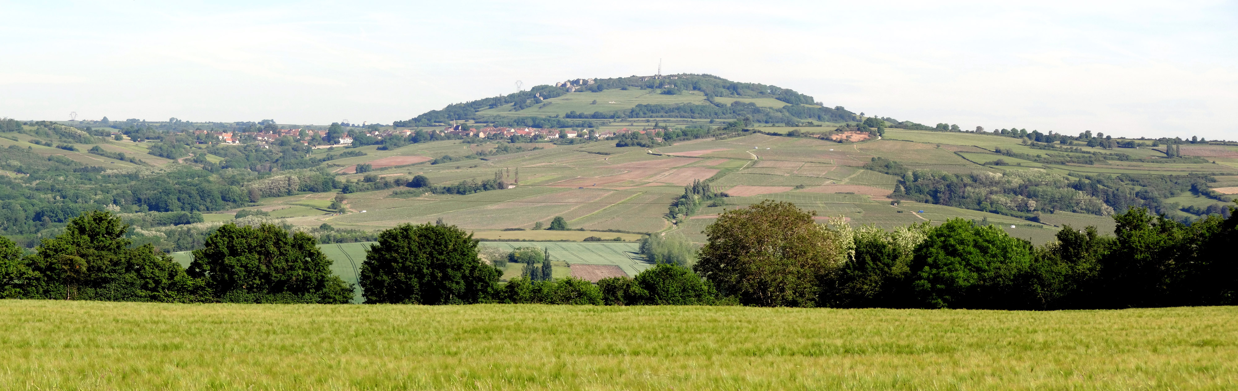 Le Couchois présente un paysage étagé ou la vigne occupe les versants des vallées. Le mont Rome et le Couchois vu depuis Chamilly en grand format (nouvelle fenêtre)