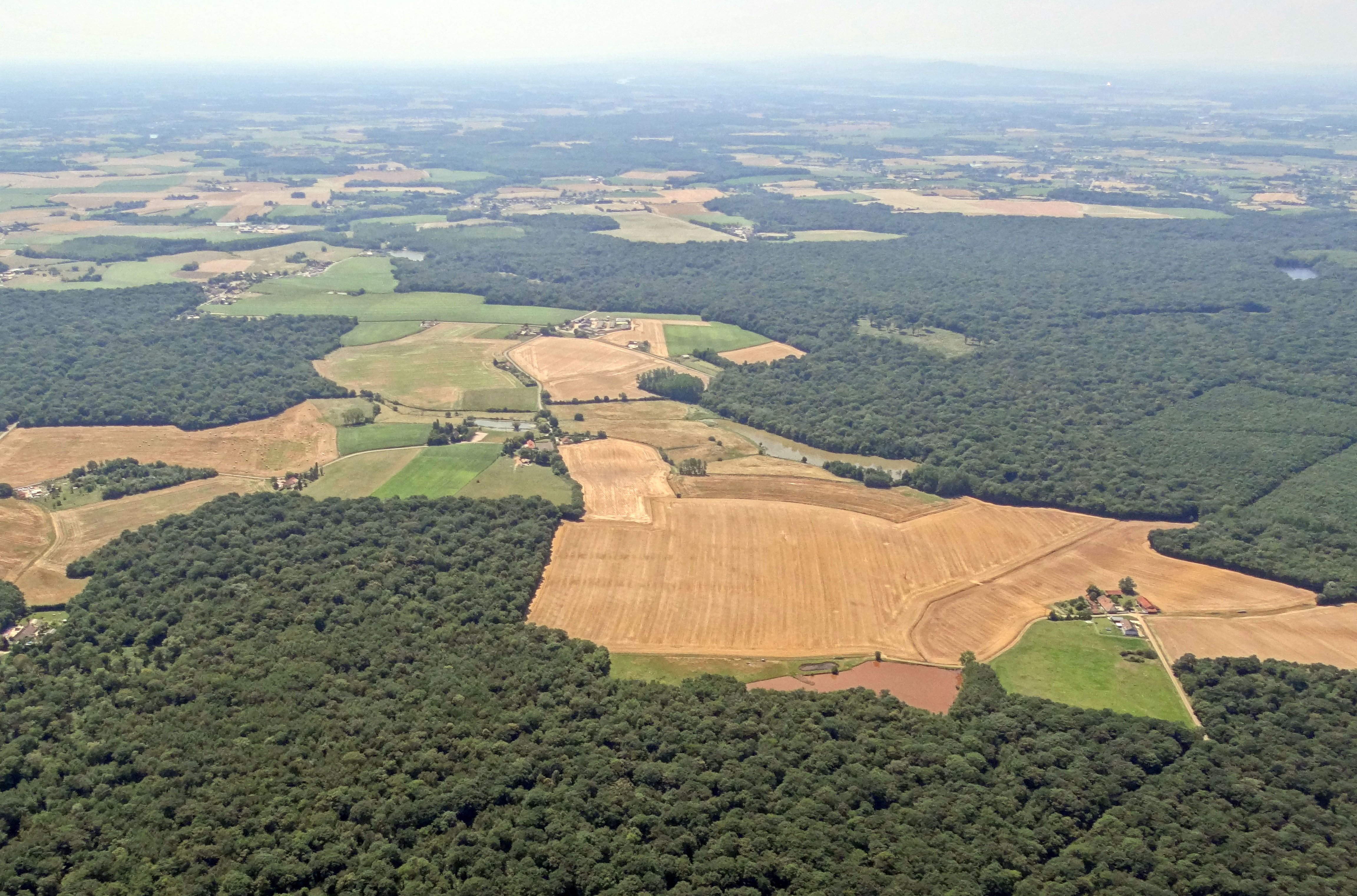 Au nord-ouest en Bresse Chalonnaise, une présence seigneuriale forte et durable a maintenu des massifs forestiers importants qui délimitent un paysage de clairières cultivées. St-Martin-en-Bresse en grand format (nouvelle fenêtre)