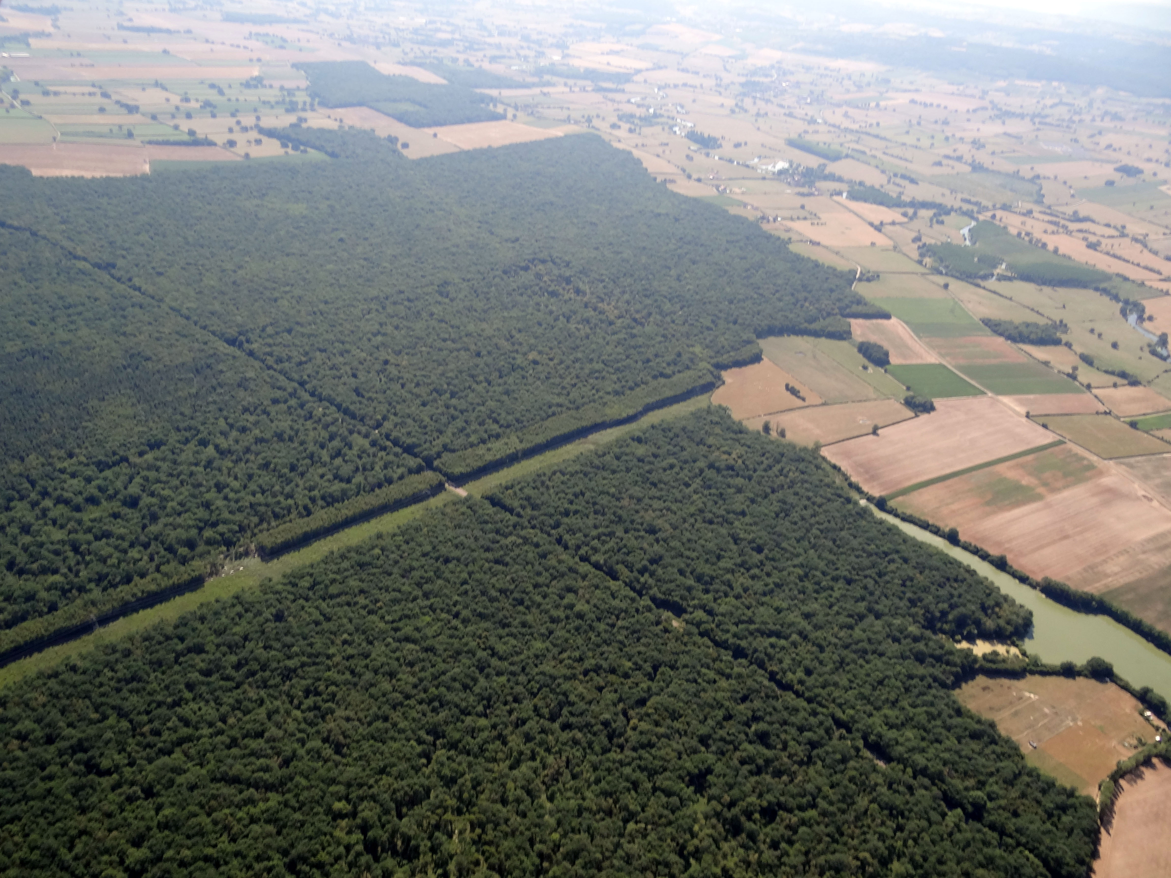 De vastes massifs forestiers occupent les terrasses de la Saône Chalonnaise. Leur caractère inondable est plus ou moins marqué en fonction de leur proximité avec les cours d'eau du territoire. Bois du Grand Bragny et vallée de la Grosne en arrière-plan. La Chapelle-de-Bragny en grand format (nouvelle fenêtre)