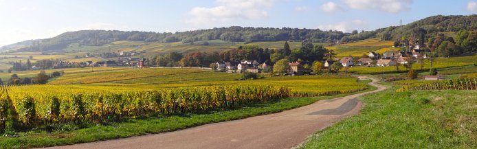Le vignoble de la Côte Chalonnaise à Saint-Vallerin en grand format (nouvelle fenêtre)