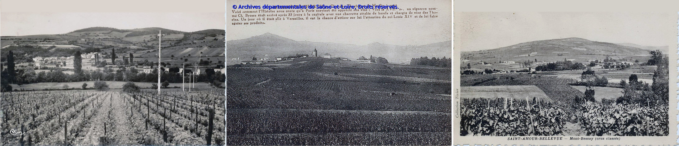 Azé. Les vignobles, le village et montagne d'Aisne, 1954 ; Romanèche-Thorins. Clos des Thorins et du Moulin à vent, 1903 ; Saint-Amour-Bellevue. Mont Bessay (crus classés), 1935
