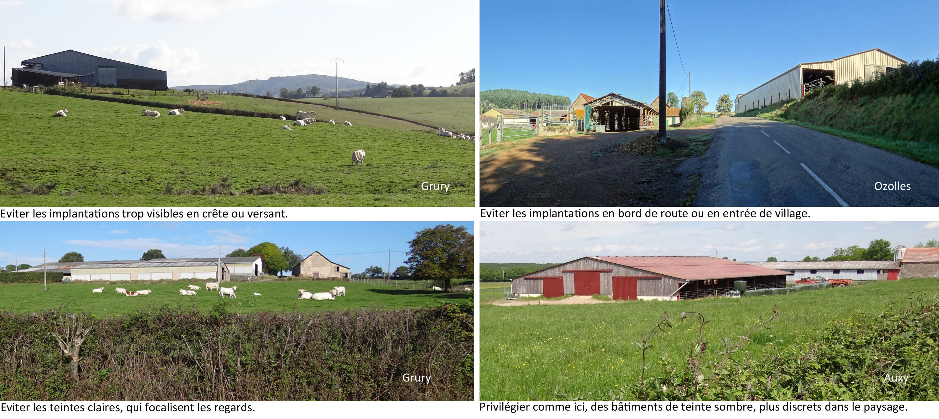 Réfléchir l'architecture et l'implantation des nouveaux bâtiments