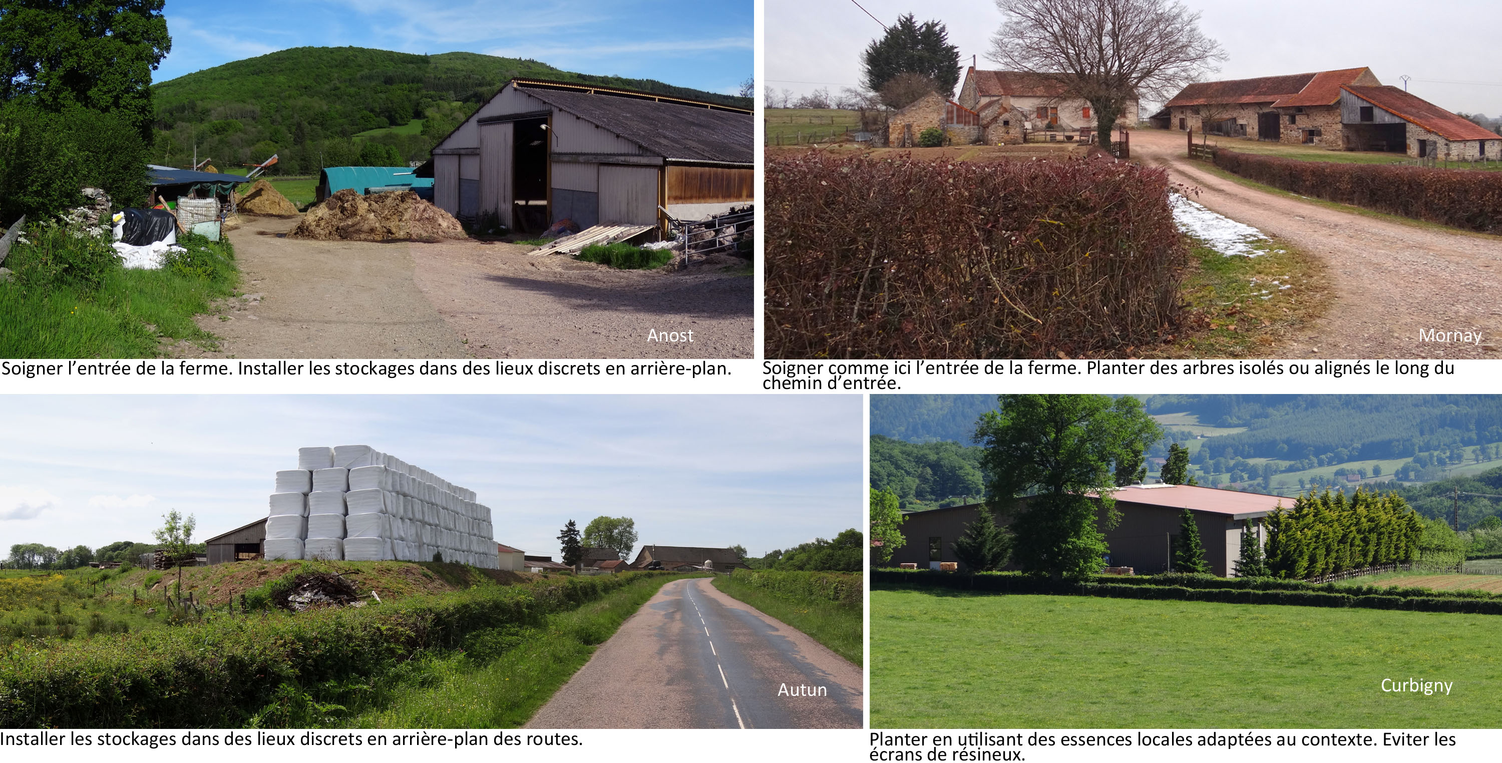Mettre en valeur les abords des exploitations