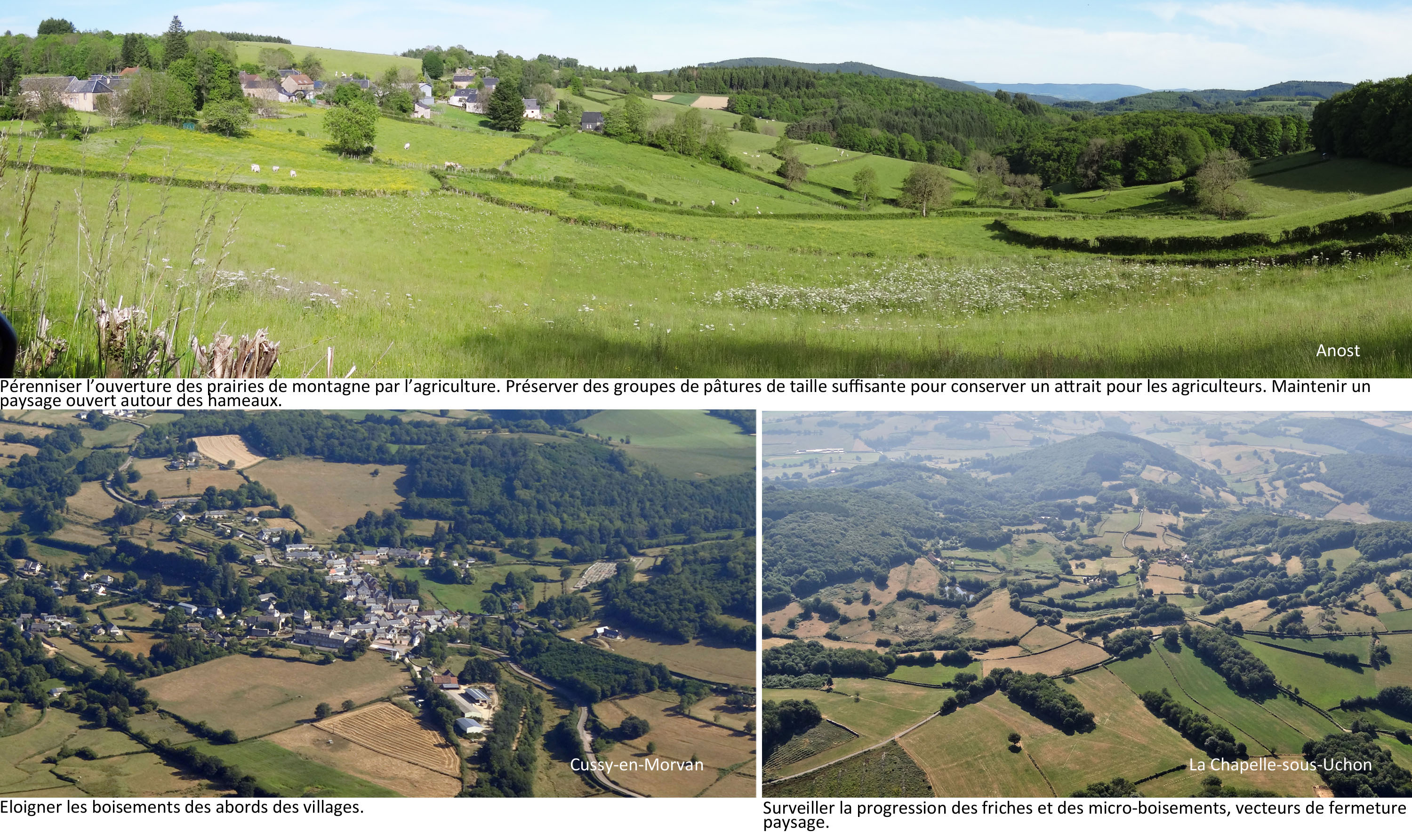 Préserver l’ouverture des clairières