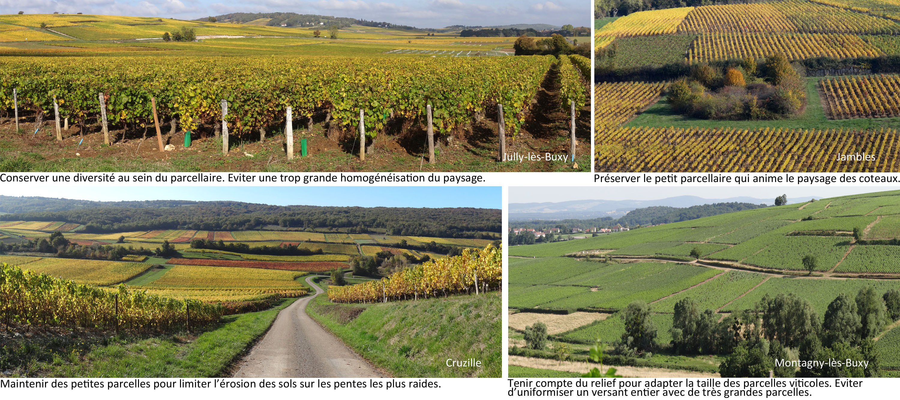 Conserver le charme des petites parcelles