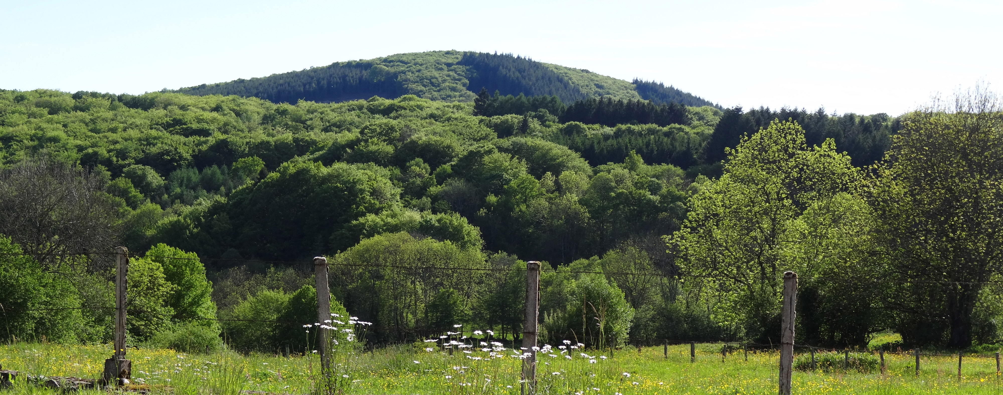 La forêt nappe les sommets arrondis du Morvan, les lisières et les sous-bois consituent l'essentiel des vues. Anost 