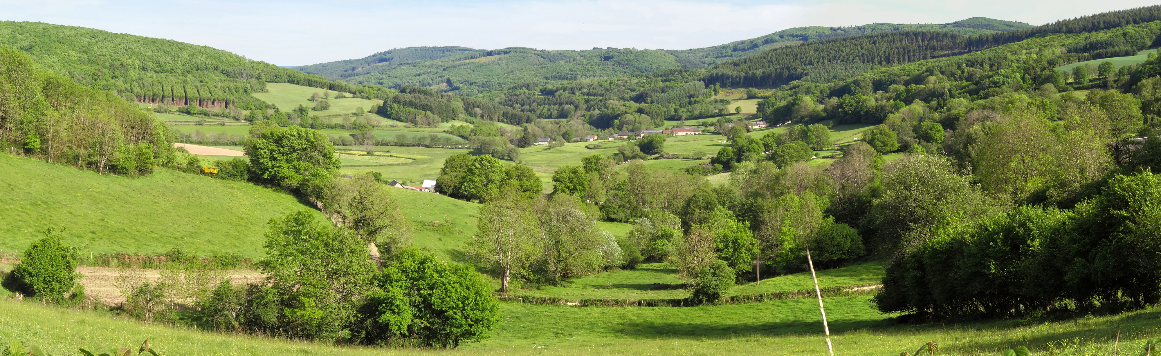 Paysage montagneux et forestier, le Morvan Oriental ne s’ouvre que ponctuellement autour de vallées-couloir et d’une multitude de clairières de toutes tailles. Anost 