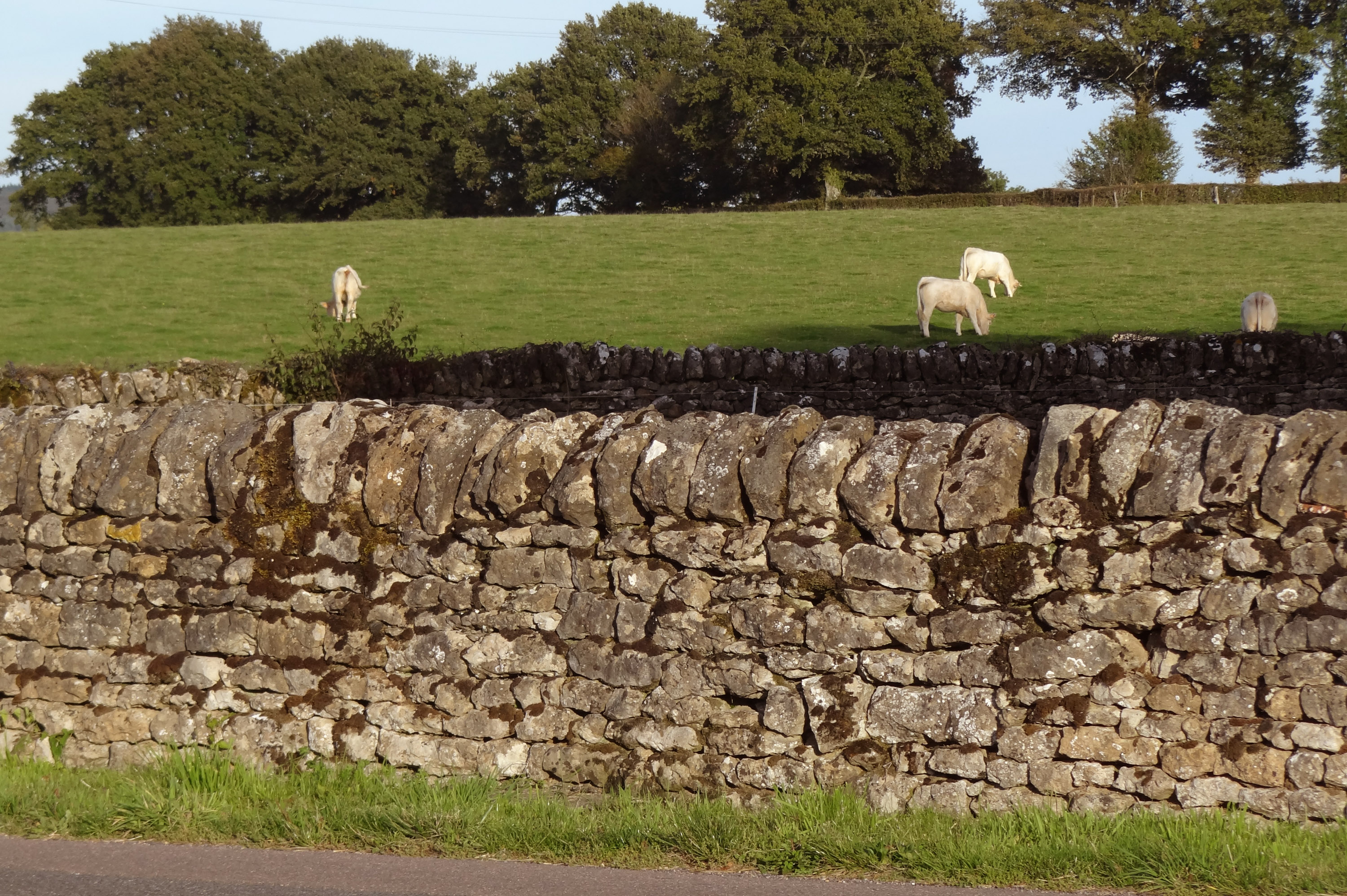 Ballore