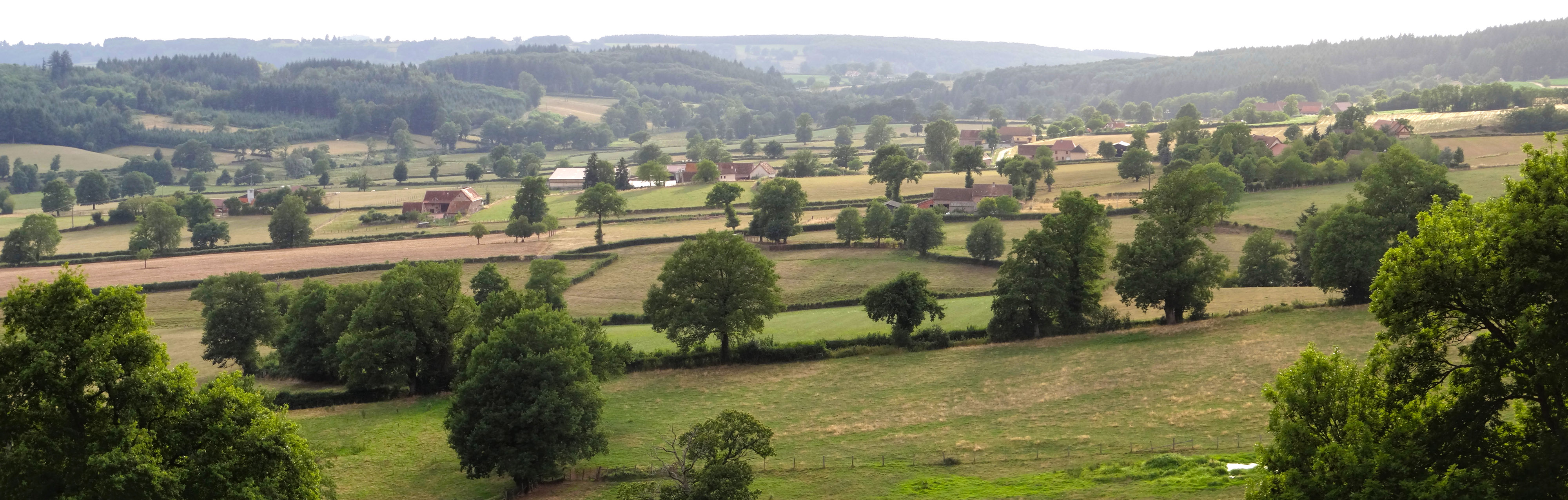 Vers l'est, les paysages du Haut-Charolais présentent des horizons boisés ponctués de conifères. Beaubery