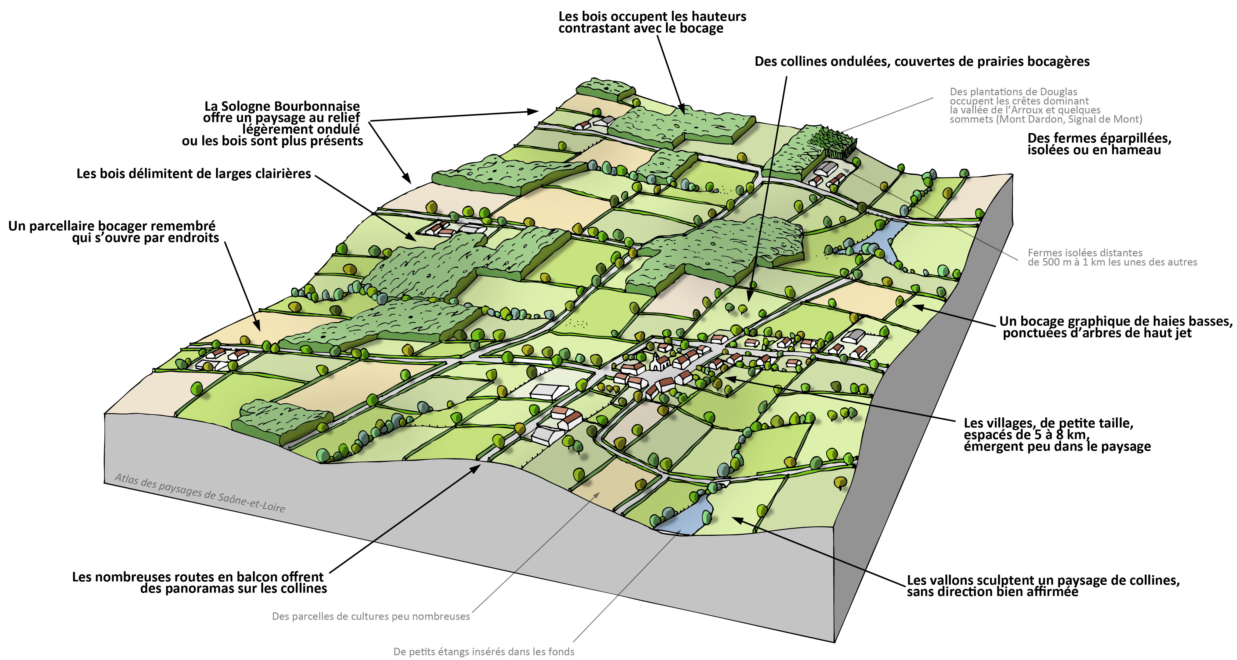 Collines du Bourbonnais bloc-diagramme paysager