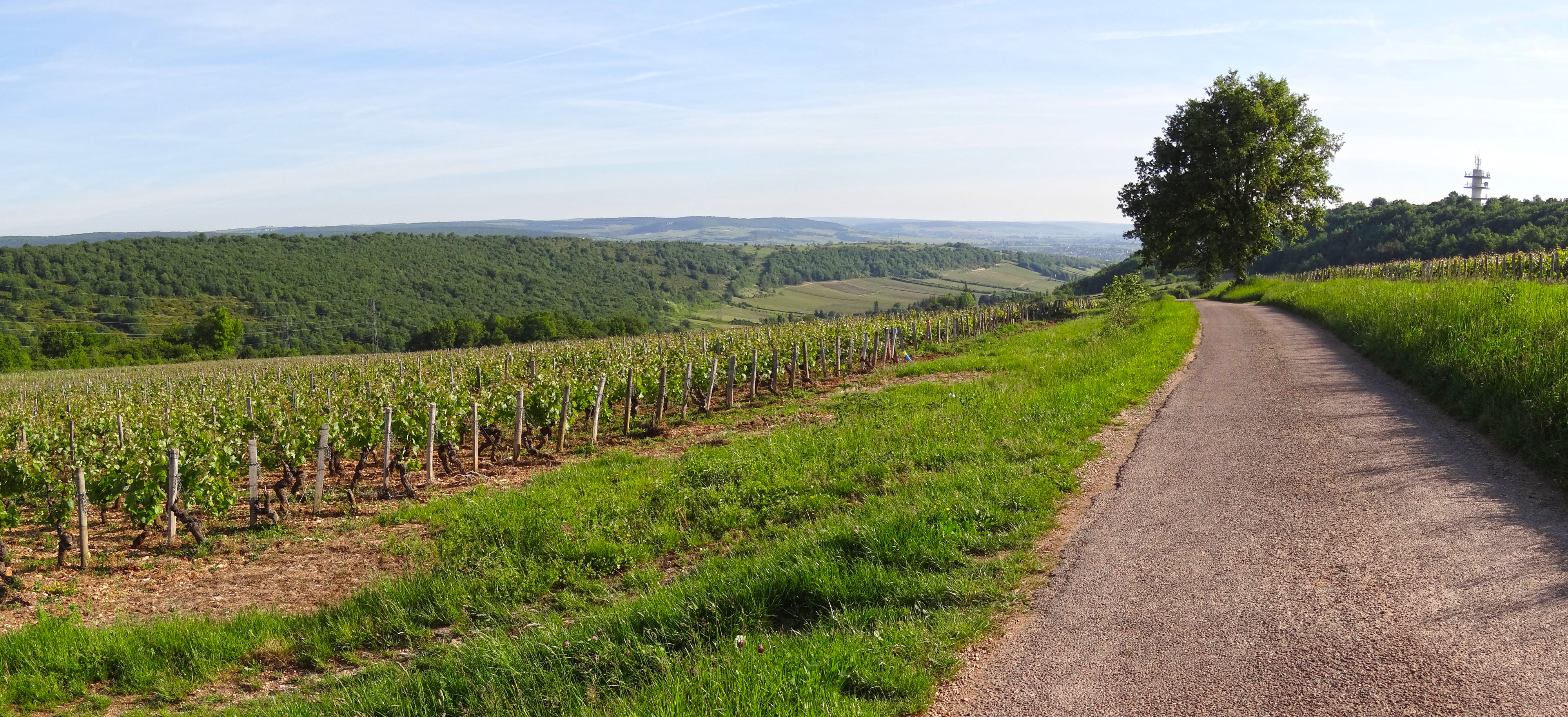 La combe
