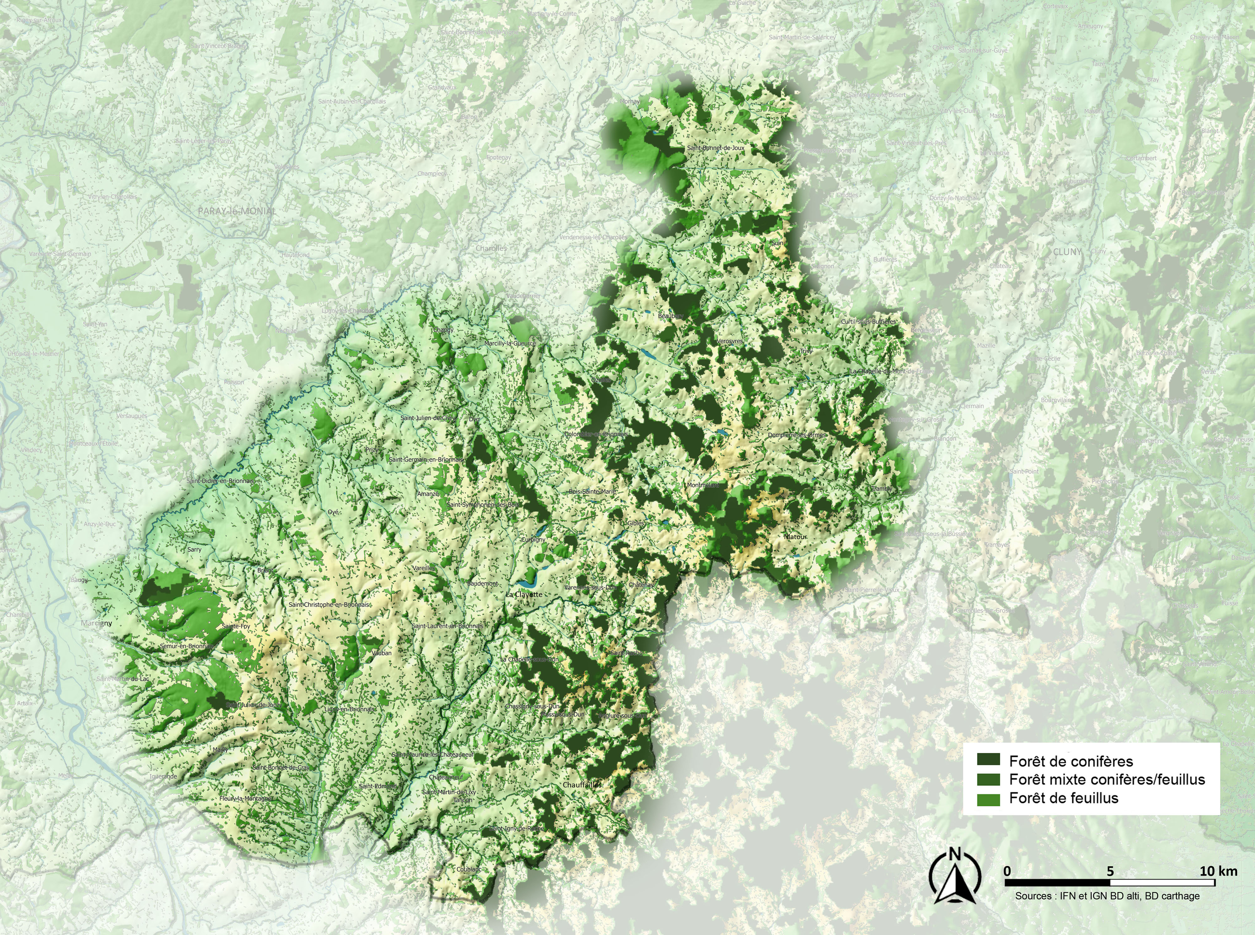 Brionnais carte arbre et forêt