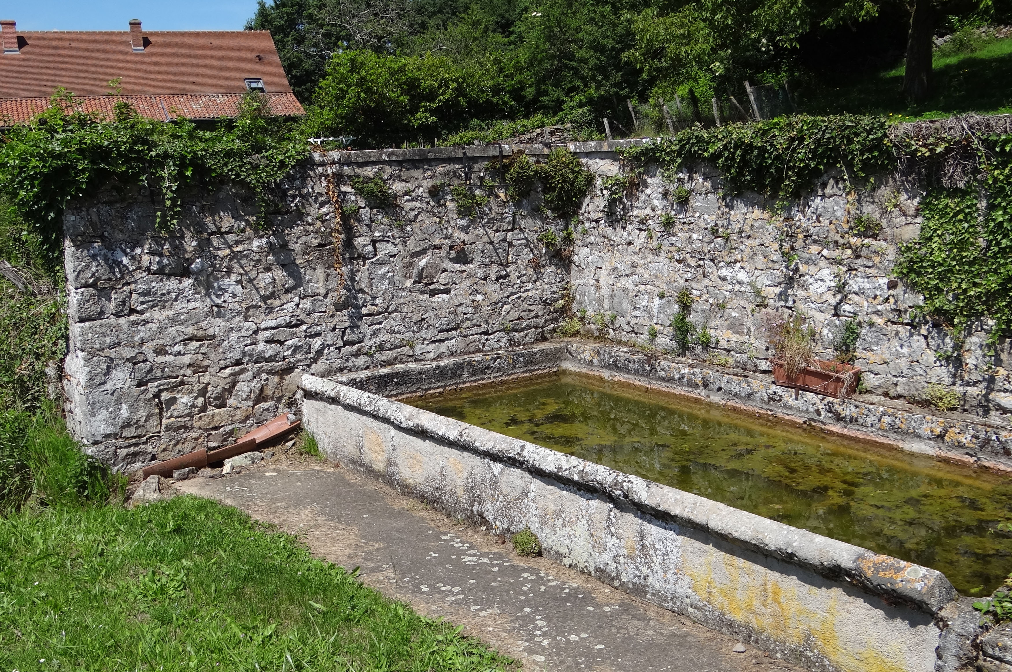 L'abreuvoir