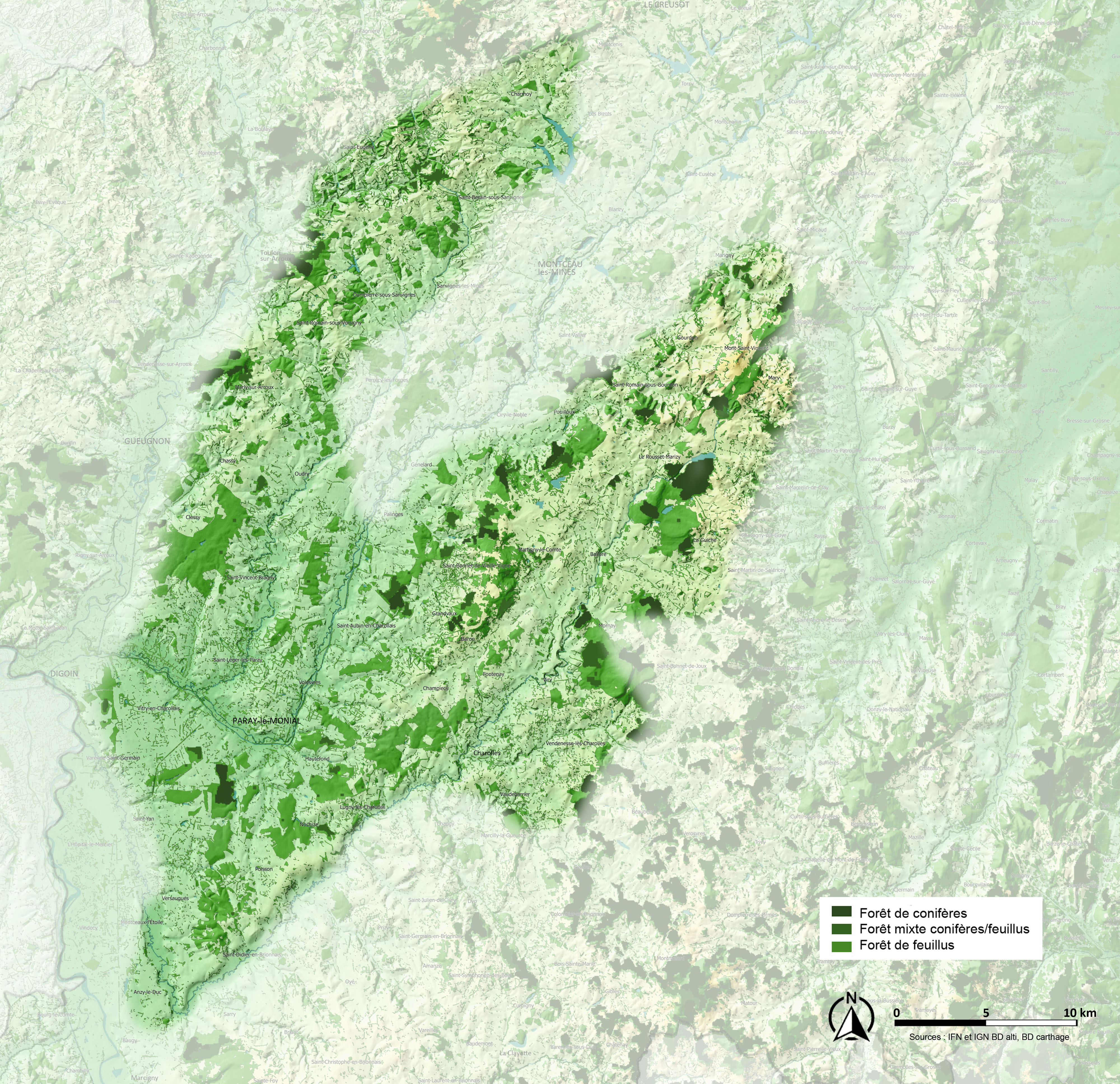 Charolais carte arbre et foret