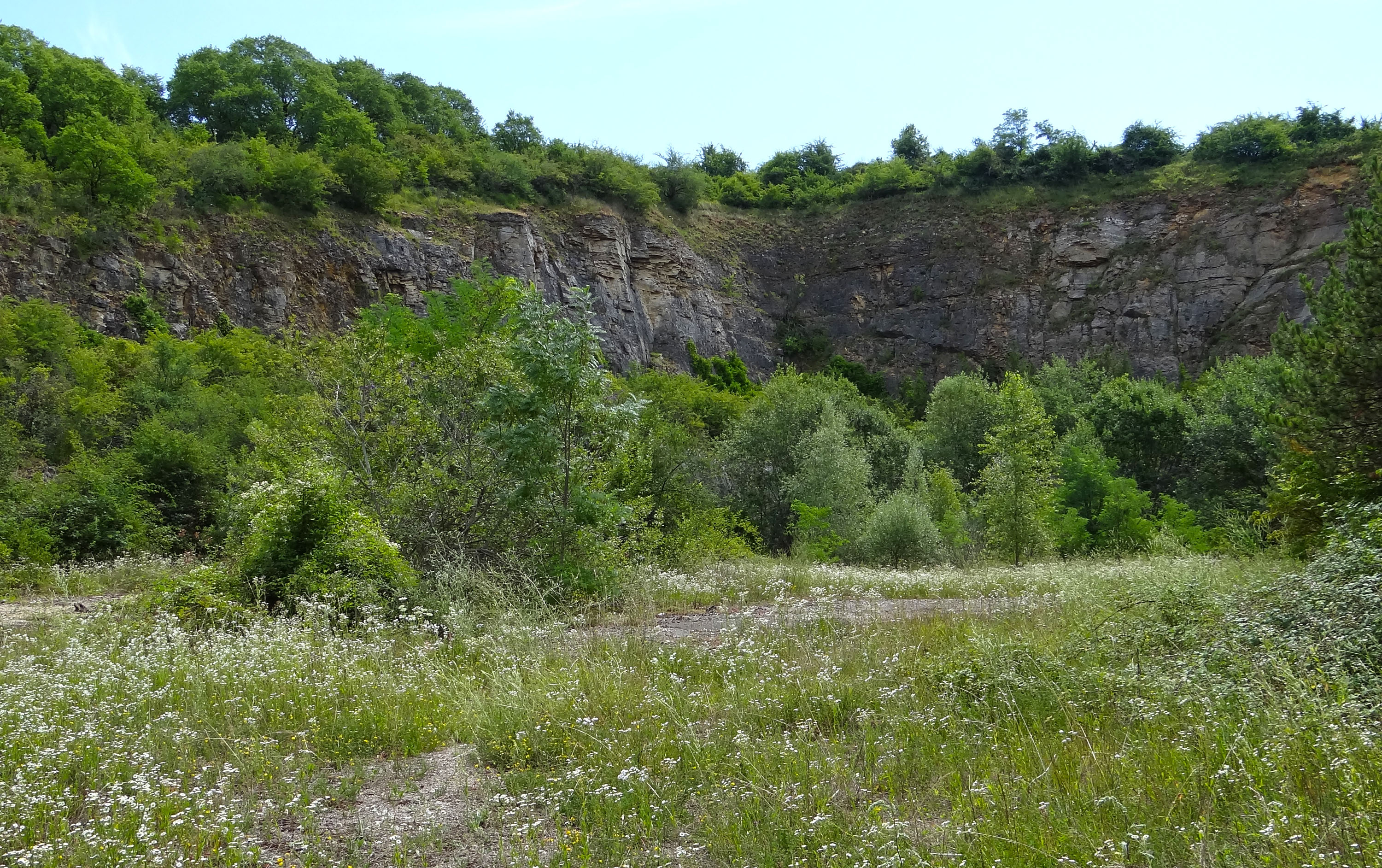 La carrière