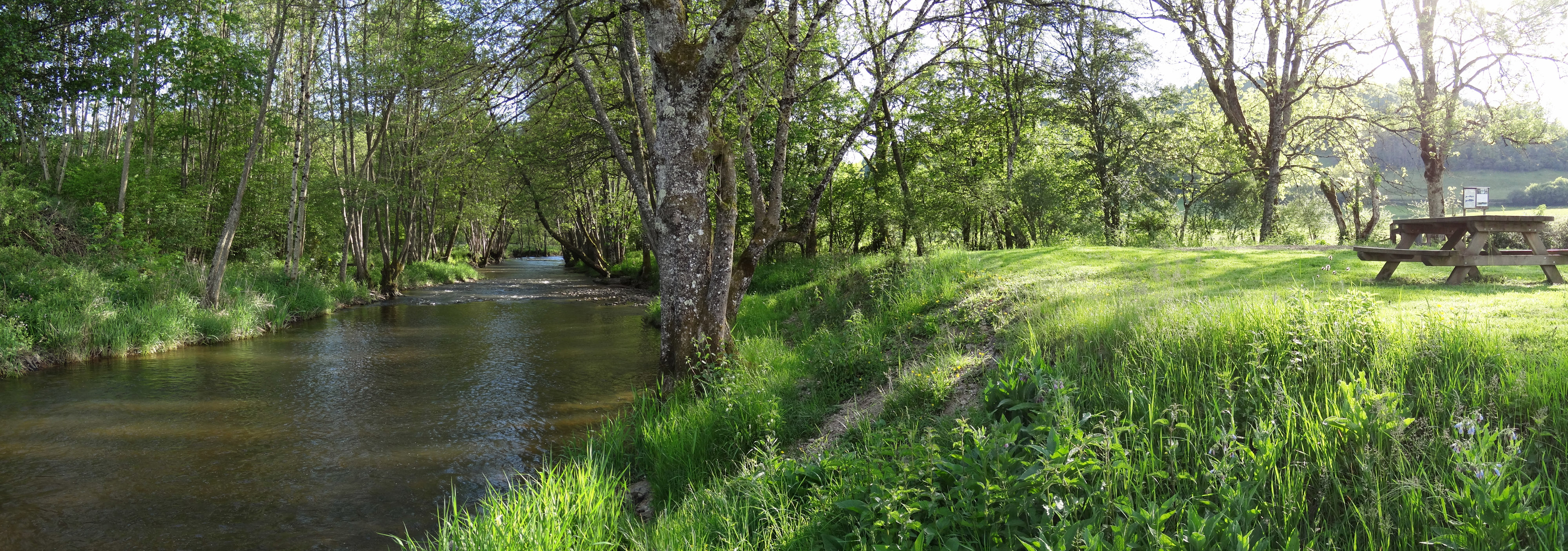 La rivière