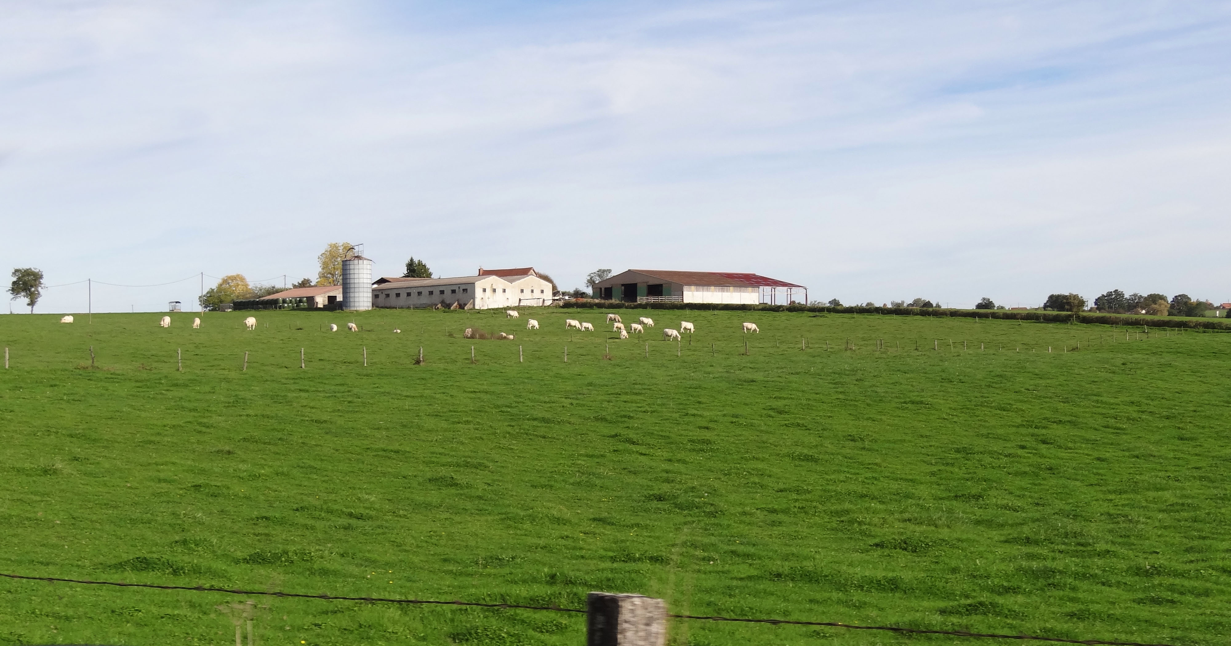 La ferme