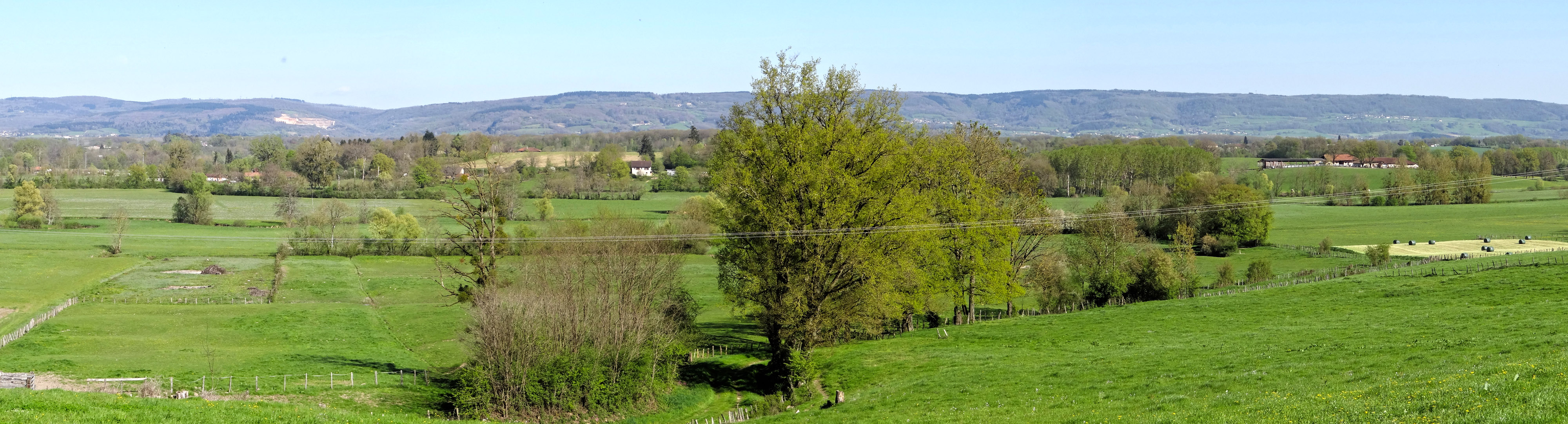 Au-dessus de la plaine bressane, le Revermont forme une barrière sombre et rectiligne annonçant le Jura. Condal Au-dessus de la plaine bressane, le Revermont forme une barrière sombre et rectiligne annonçant le Jura. Condal