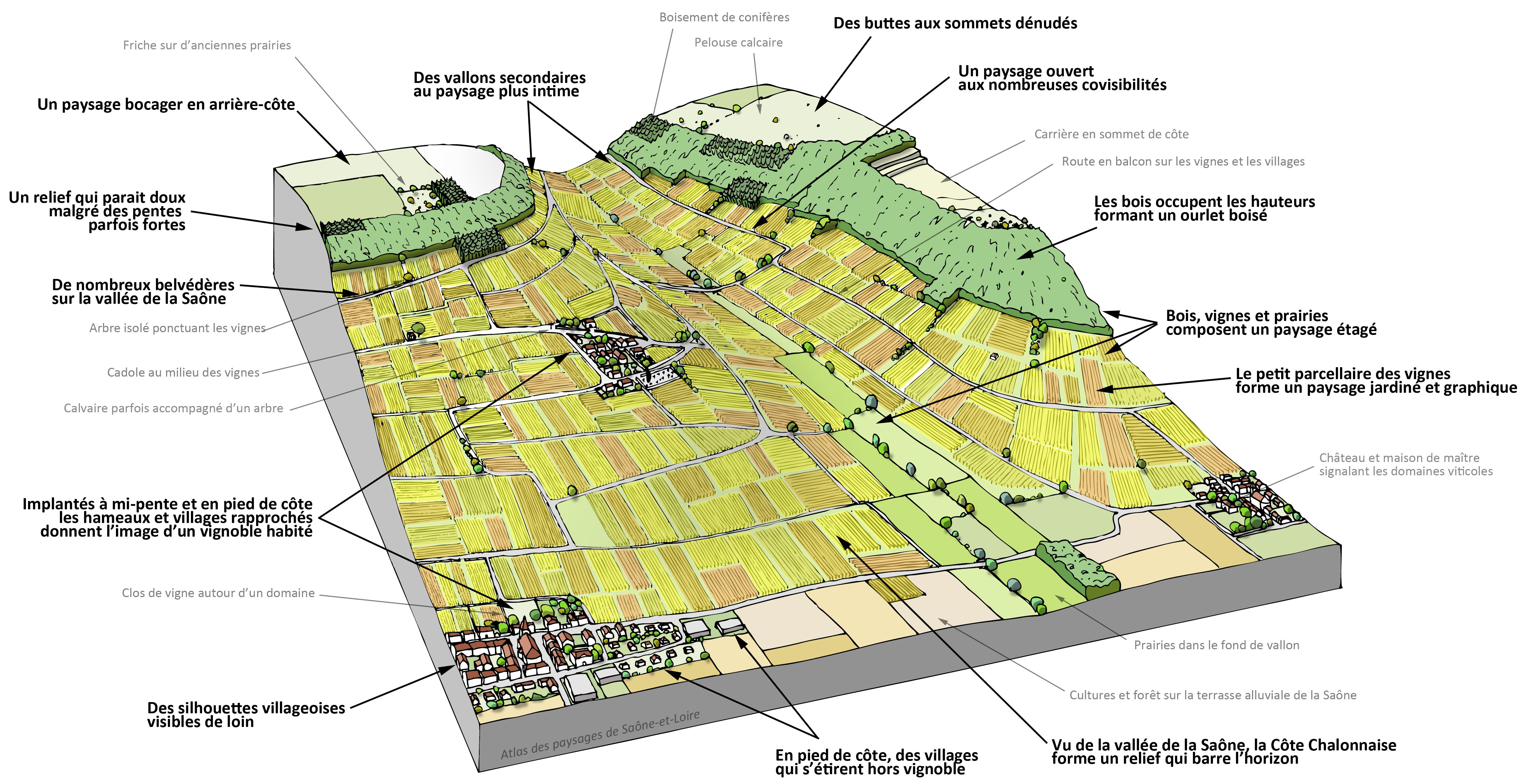 Côte Chalonnaise bloc diagramme paysager