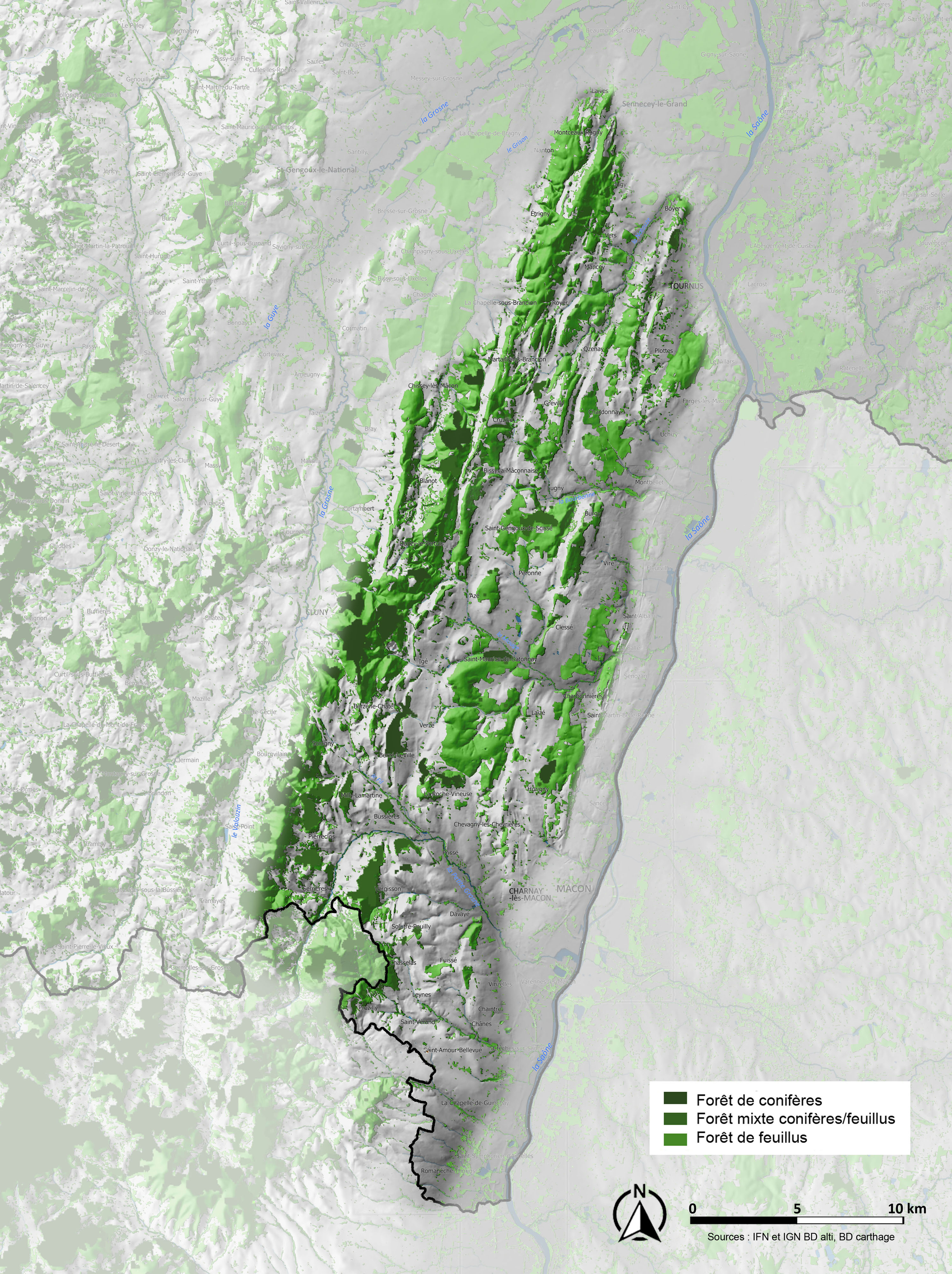 Côte Mâconnaise carte arbre et forêt