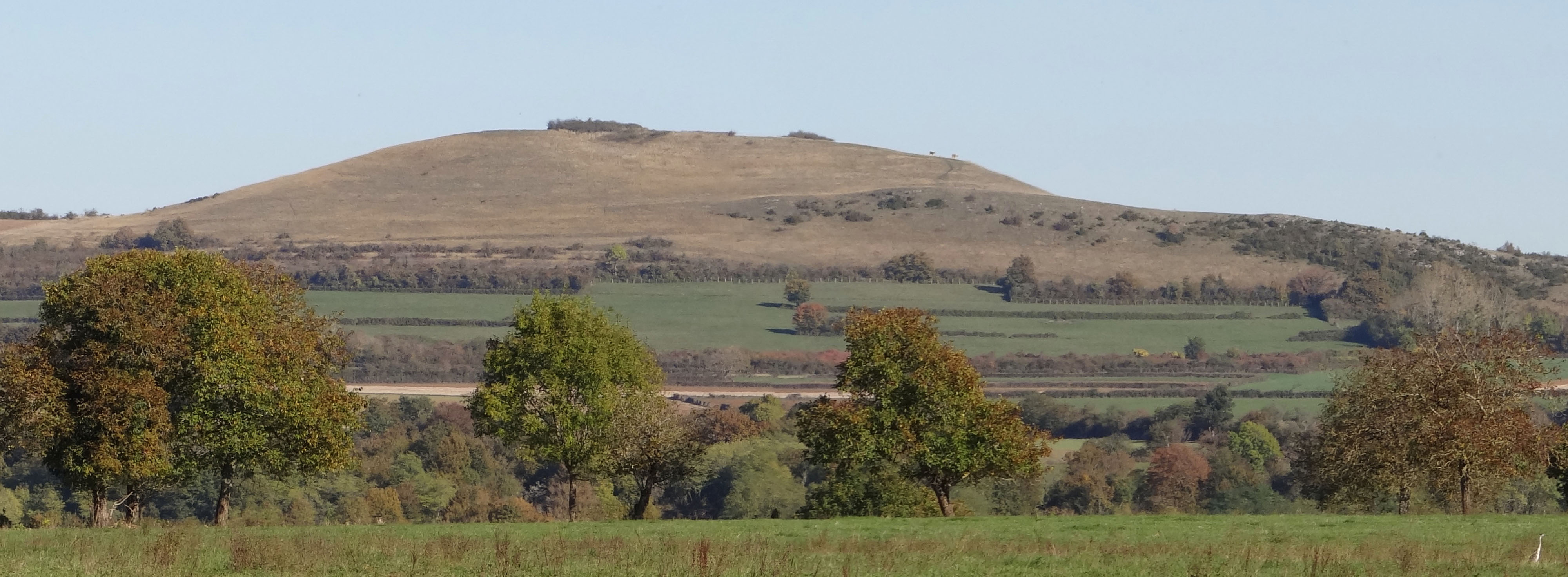 La prairie, la pelouse sèche
