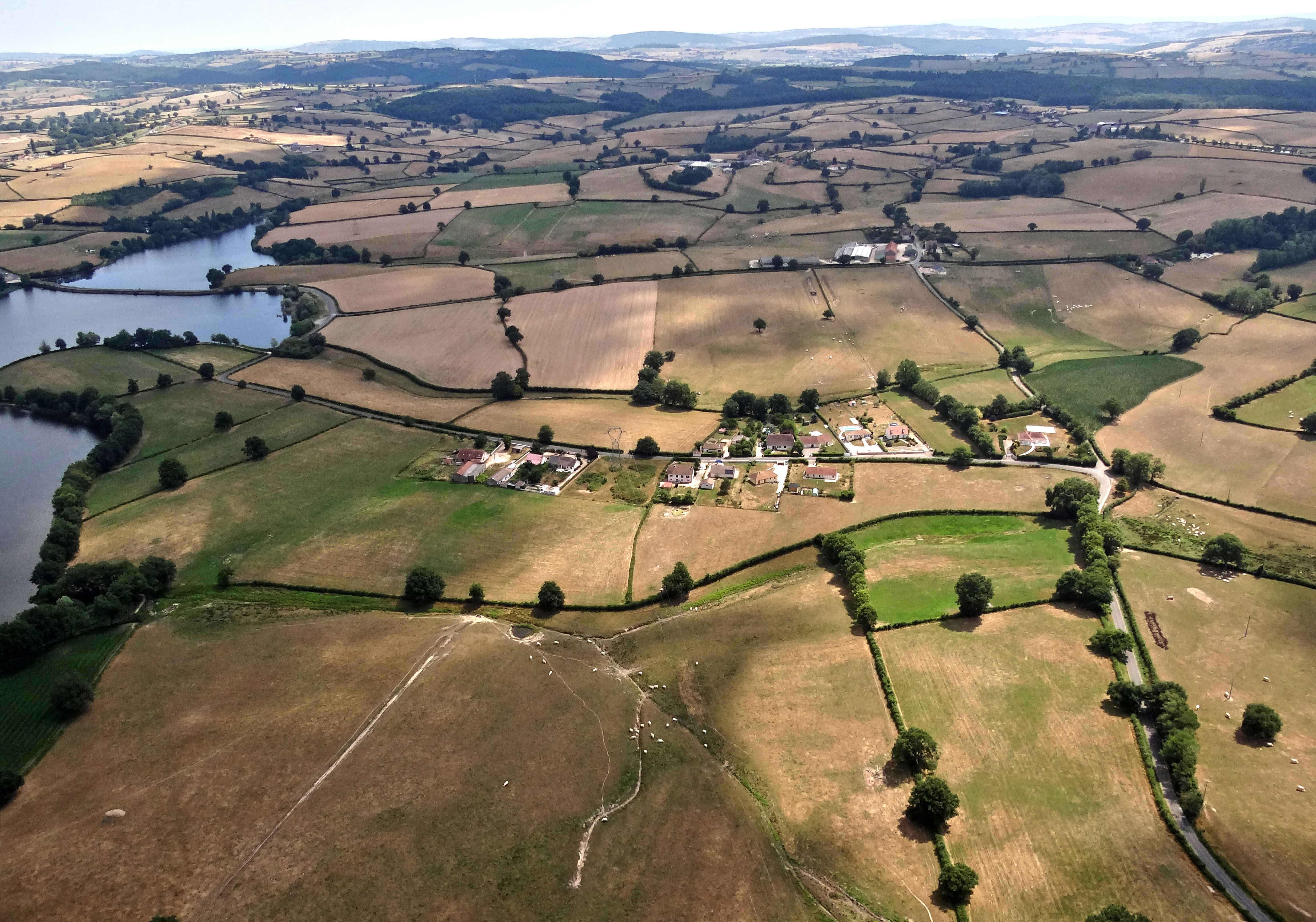 Dans le Bassin Minier coexistent de nombreuses communes urbaines où l’agriculture est résiduelle et souvent enclavée dans le tissu urbain et des communes rurales où l’on retrouve de vastes surfaces agricoles. L’essentiel des parcelles agricoles est consacré aux prairies et aux cultures fourragères. Commune de St-Eusèbe, au premier plan le hameau des Porrons et derrière la ferme du Tremblay