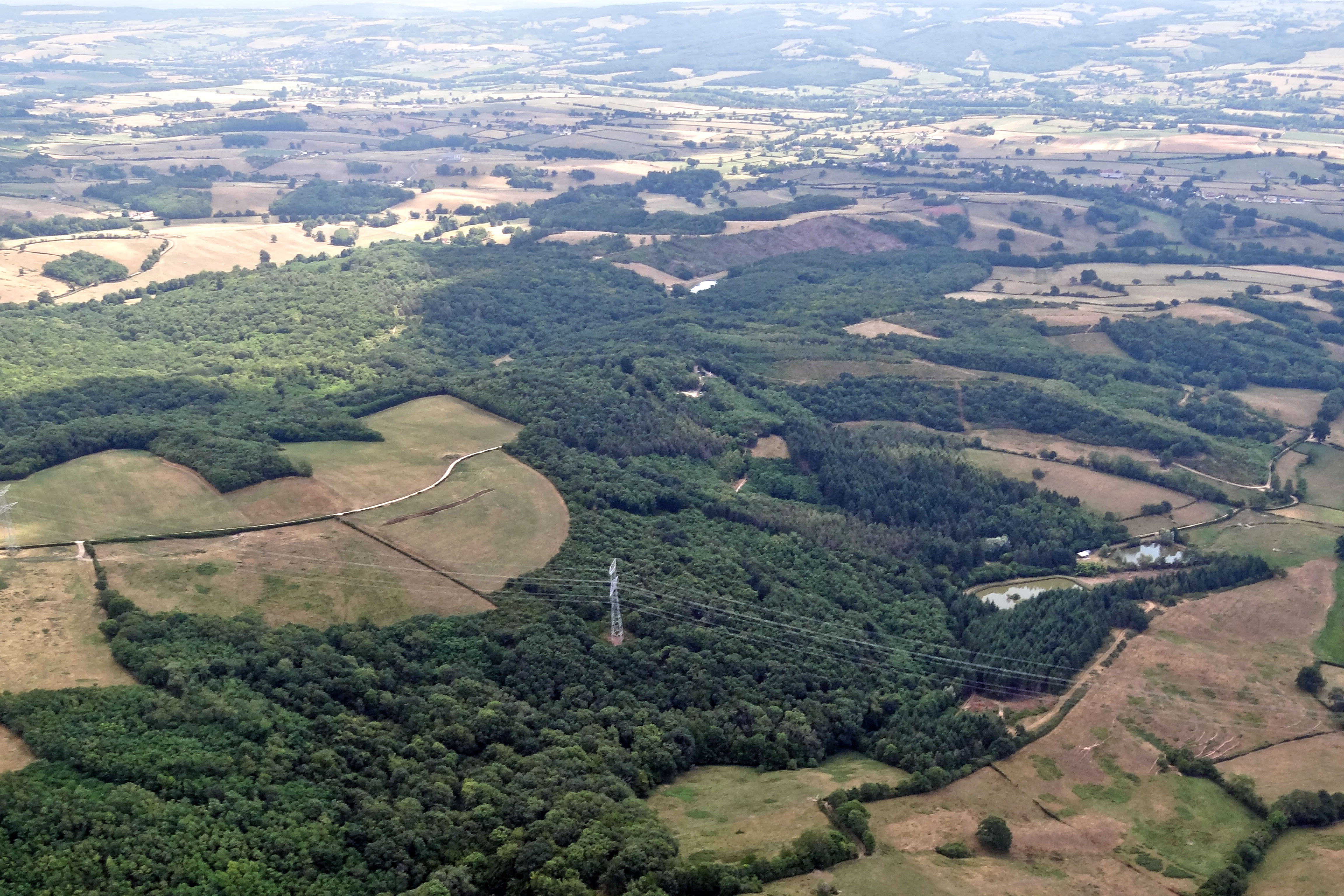 Les bois sont nombreux et disséminés sur l’ensemble du territoire, dans les vallons et sur les crêtes situées aux franges de l’unité. Ils sont de taille modérée et composés essentiellement de feuillus. Le Bois de la Mouille sur les versants de la vallée de la Dheune. St-Pierre-de-Varennes, Perreuil, St-Jean-de-Trézy 