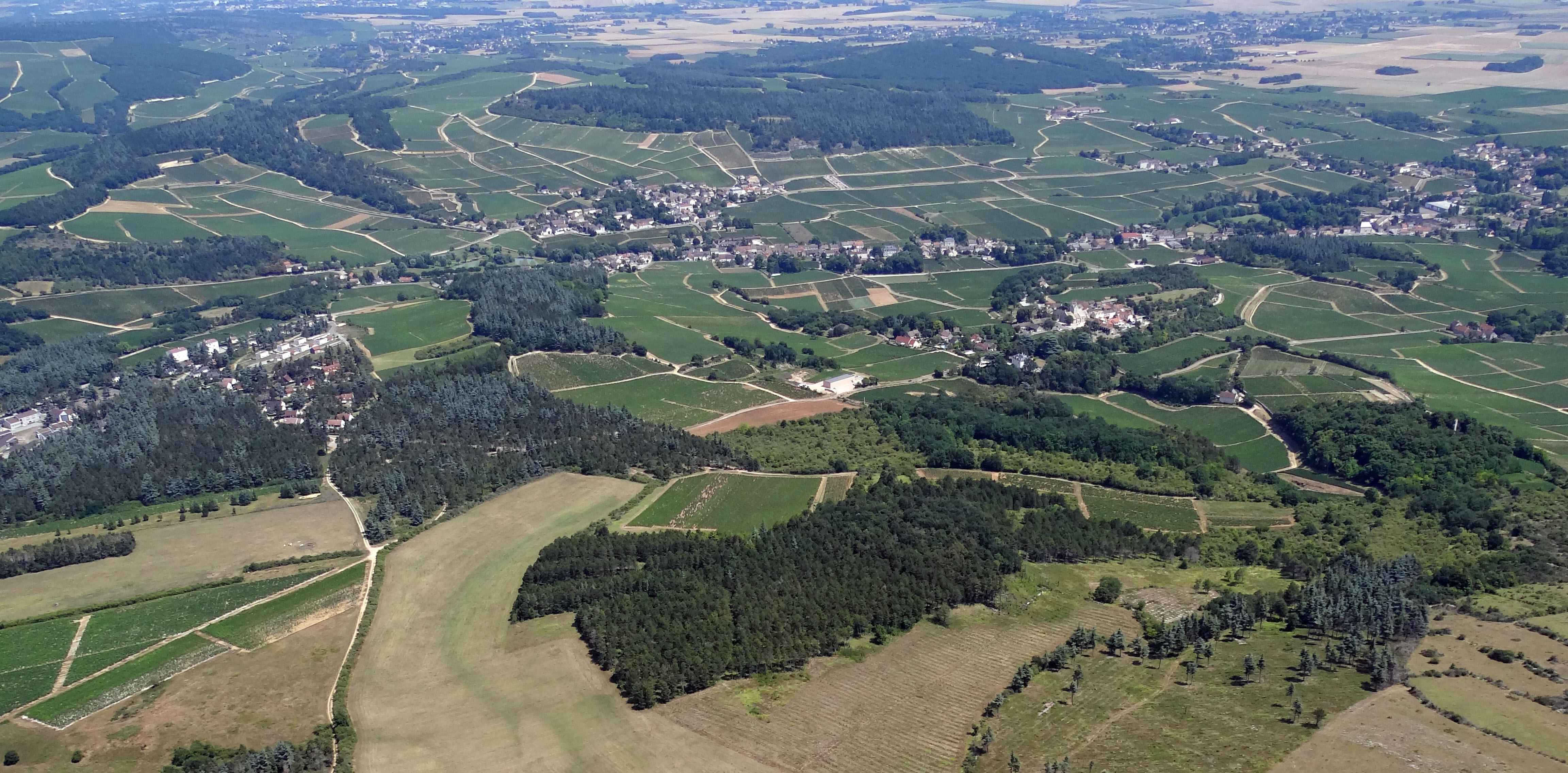 Les sommets des côtes et des quelques buttes sont le domaine des pelouses et des boisements. Il n’y a pas de grands massifs mais de nombreux boisements fragmentés composés de feuillus et de quelques plantations de conifères (principalement plantés pendant les 40 dernières années et dominés par le pin noir)