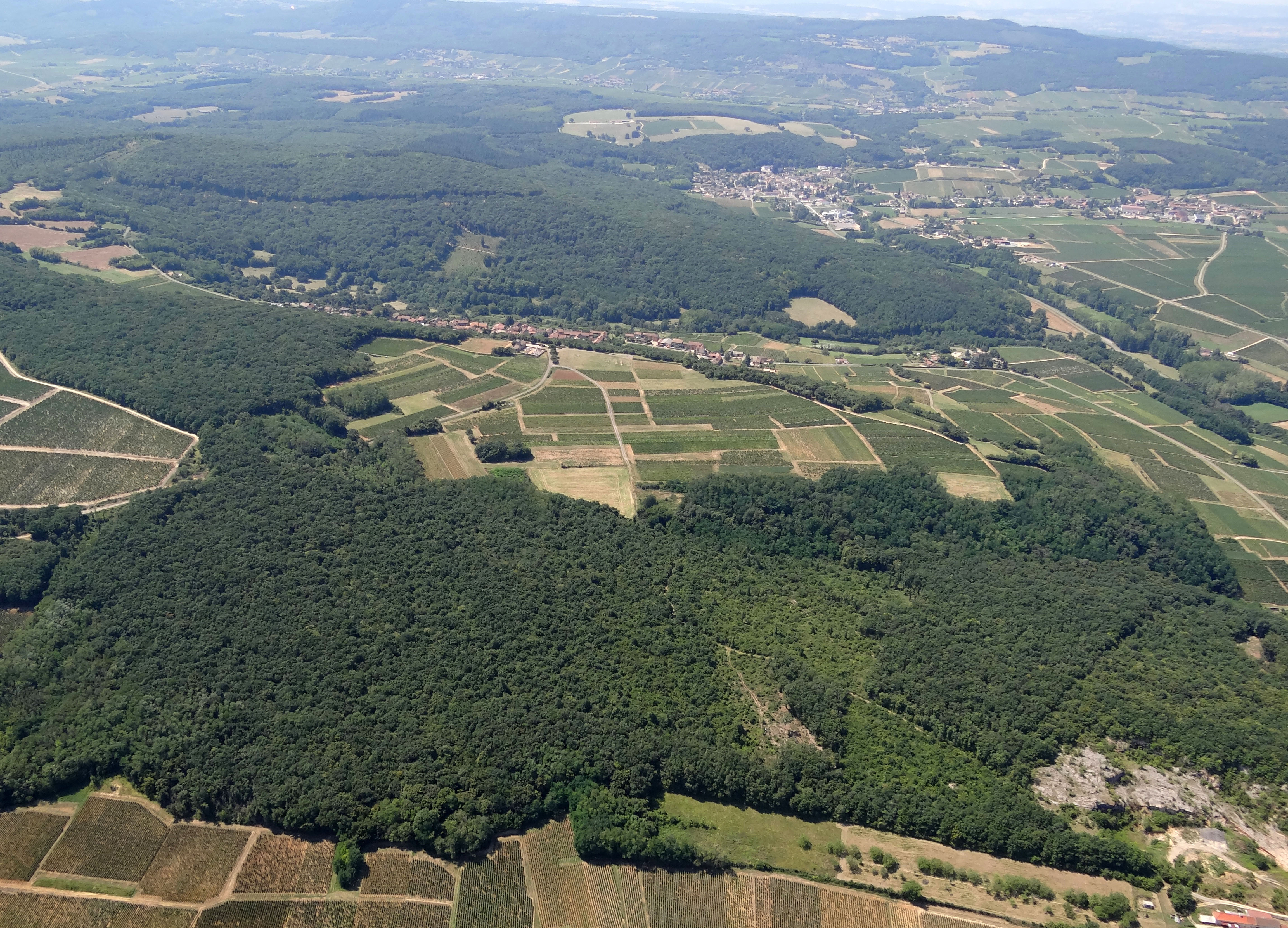 Les bois accentuent les lignes du relief, occupant la plupart des crêtes et les hauteurs au-delà des 500 m, ainsi que les versants les plus pentus. A l’est les feuillus dominent tandis qu’à l’ouest de vastes massifs de conifères ont étés plantés sur les terrains cristallins. Au premier plan le Bois du Mont, en second plan la combe et le village de Burgy, en arrière-plan Lugny et la vallée de la Bourbonne.