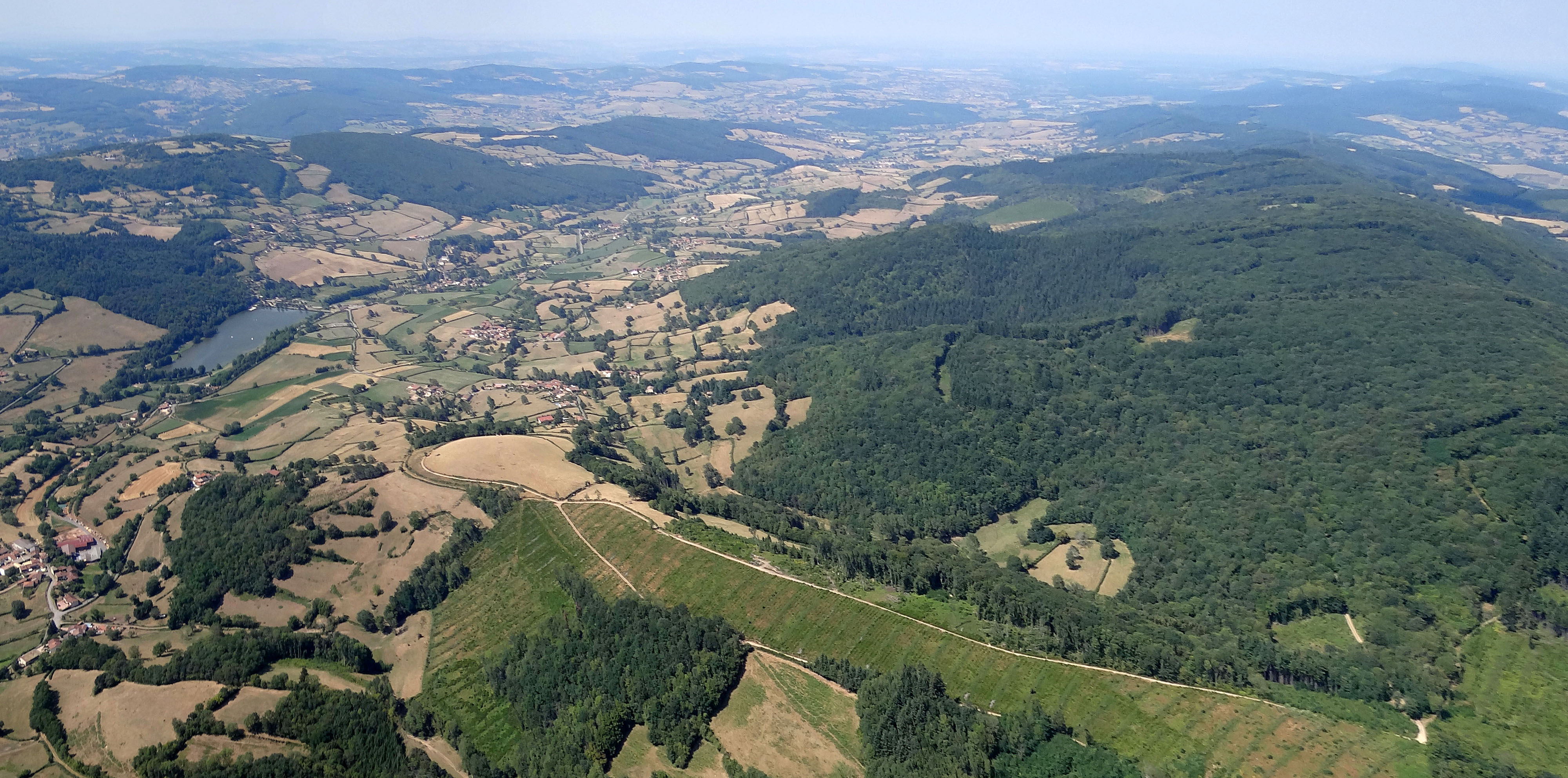 Au sud, sur les reliefs affirmés des Vallées du Clunisois, les boisements forment des massifs plus importants, dominés par les feuillus (chênes rouvre et pédonculé, frêne, châtaignier, charme, merisier) ponctués de plantations de conifères (douglas, pin sylvestre). Versants forestiers de la vallée du Valouzin à St-Point