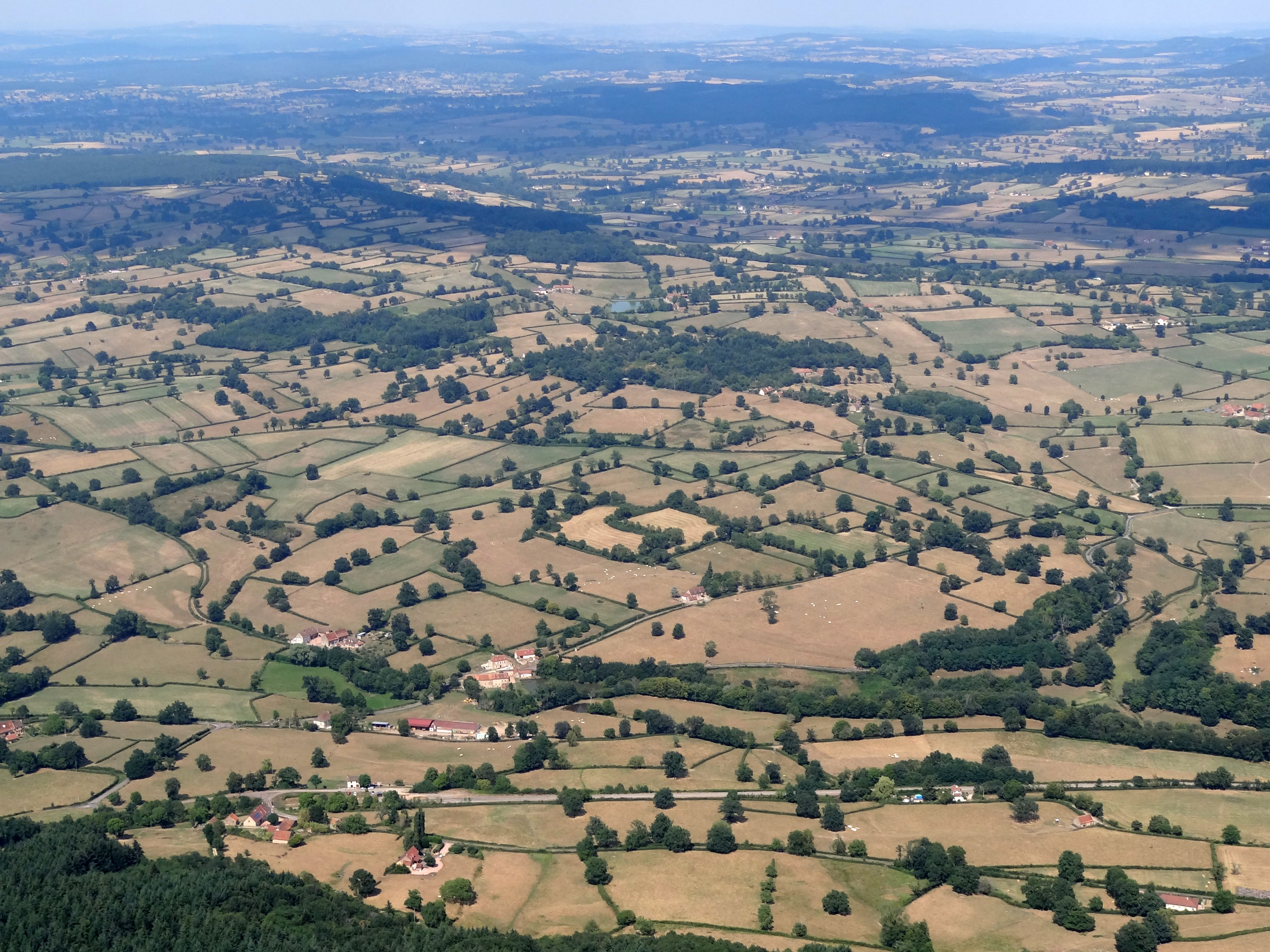 Les bois occupent les parties les plus hautes et les terrains les plus pauvres (gréseux) ou acides (granit). Les essences dominantes sont le chêne, le hêtre et le charme, accompagné du châtaignier. Dans les reliefs affirmés du Haut Brionnais les bois deviennent plus nombreux et sont complétés de plantations de résineux. Au premier plan le hameau des Piats et le moulin de Conche à Dyo
