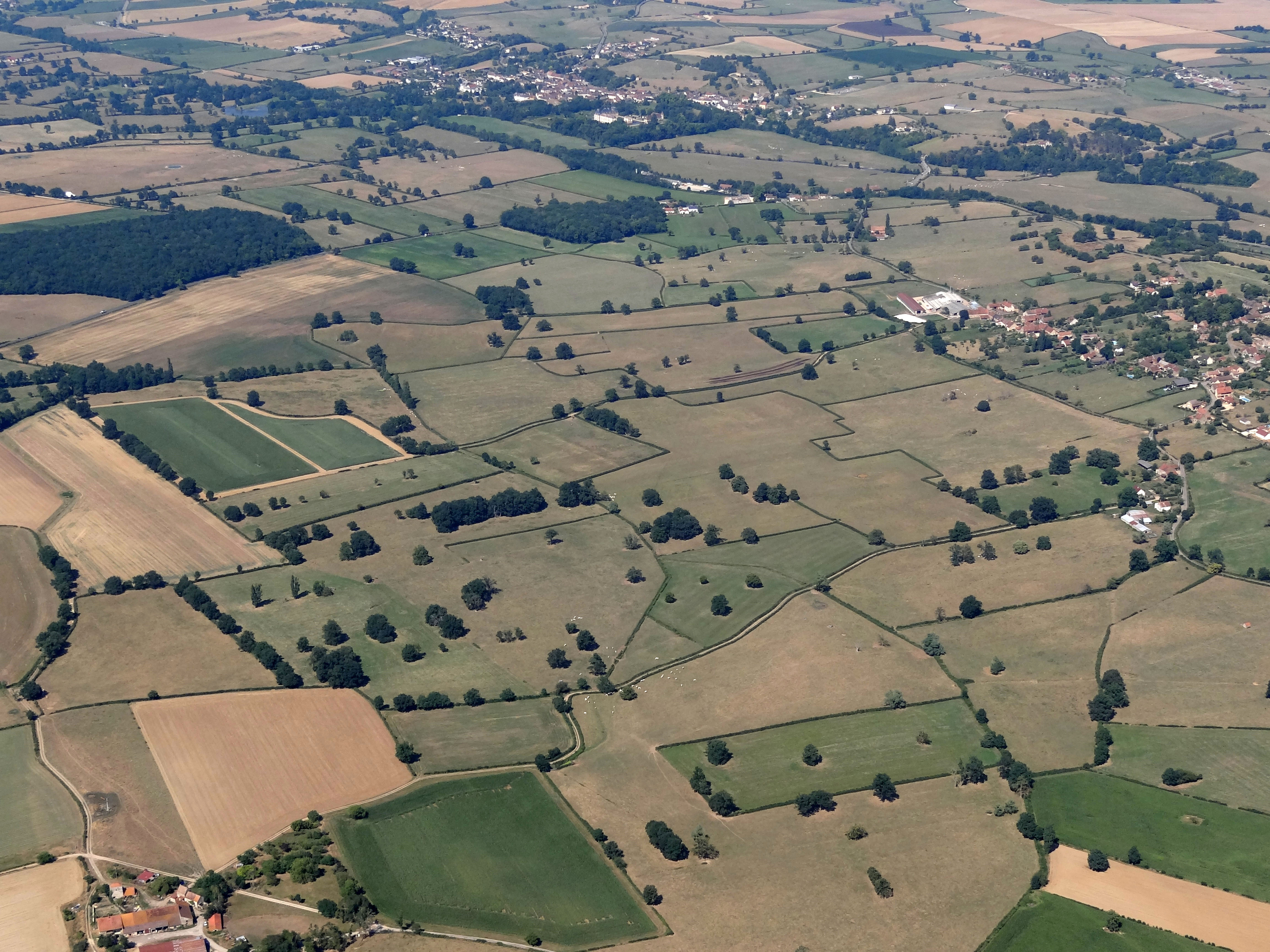 Avec environ 80 % de la SAU occupée par les surfaces fourragères, les prairies bocagères occupent majoritairement l’espace. On retrouve toutefois ici des cultures (essentiellement des céréales). De même sur la frange est où le substrat calcaire est présent, quelques petites parcelles de vignes prennent place dans ce territoire d’arrière côte. La vallée de la Grosne avec la Ferme de la Grange Sercy au premier plan, en arrière-plan Ameugny à droite et Cormatin au bord de la Grosne : les prairies bocagères dominent, encadrées dans ce secteur au relief plus doux par de vastes parcelles cultivées.
