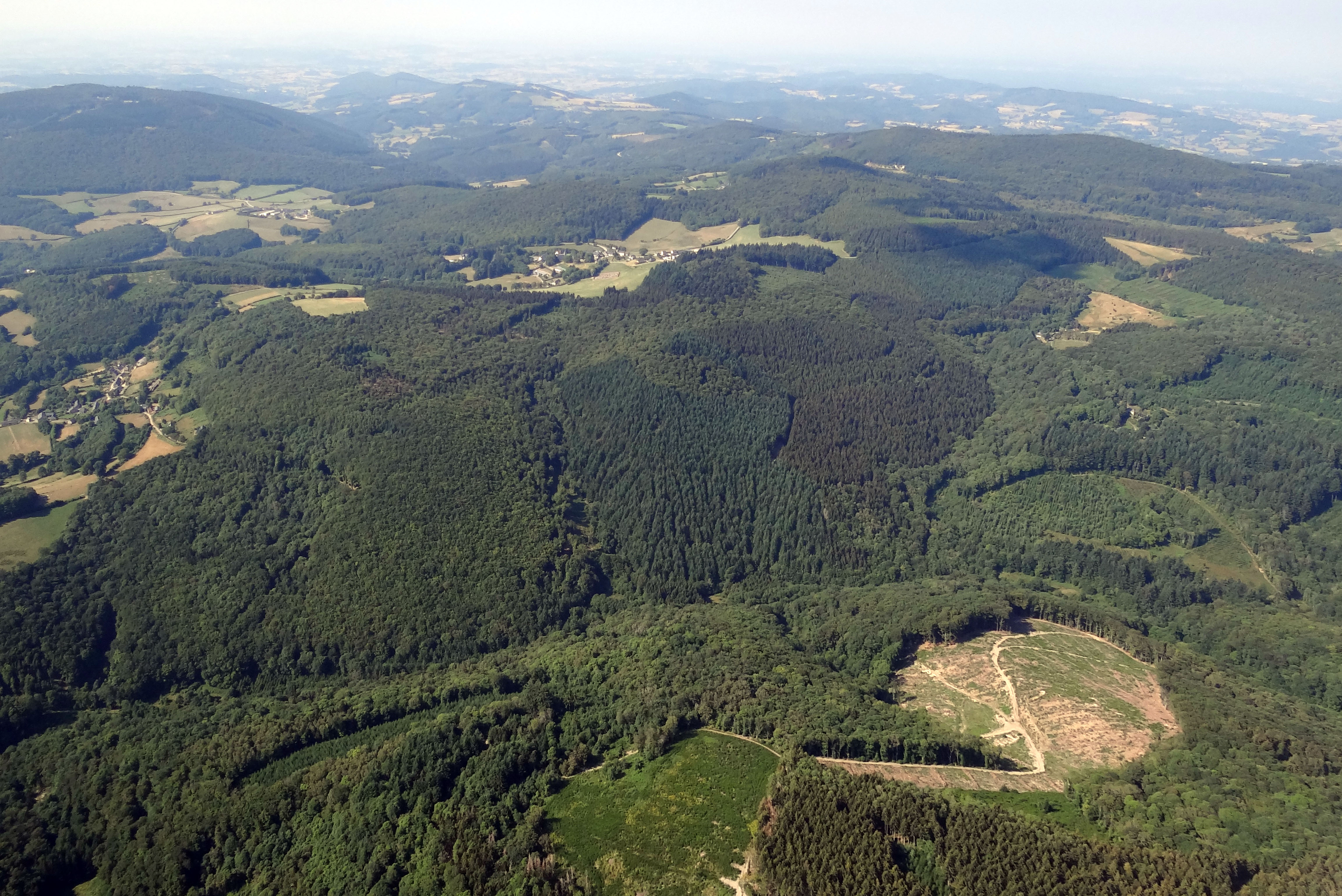 Le Morvan Oriental est à plus de 60% couvert de forêts. Les forêts de résineux, essentiellement de Douglas, mais aussi d’épicéa et de sapin, représentent entre 35 et 70 % des superficies forestières, selon les communes.