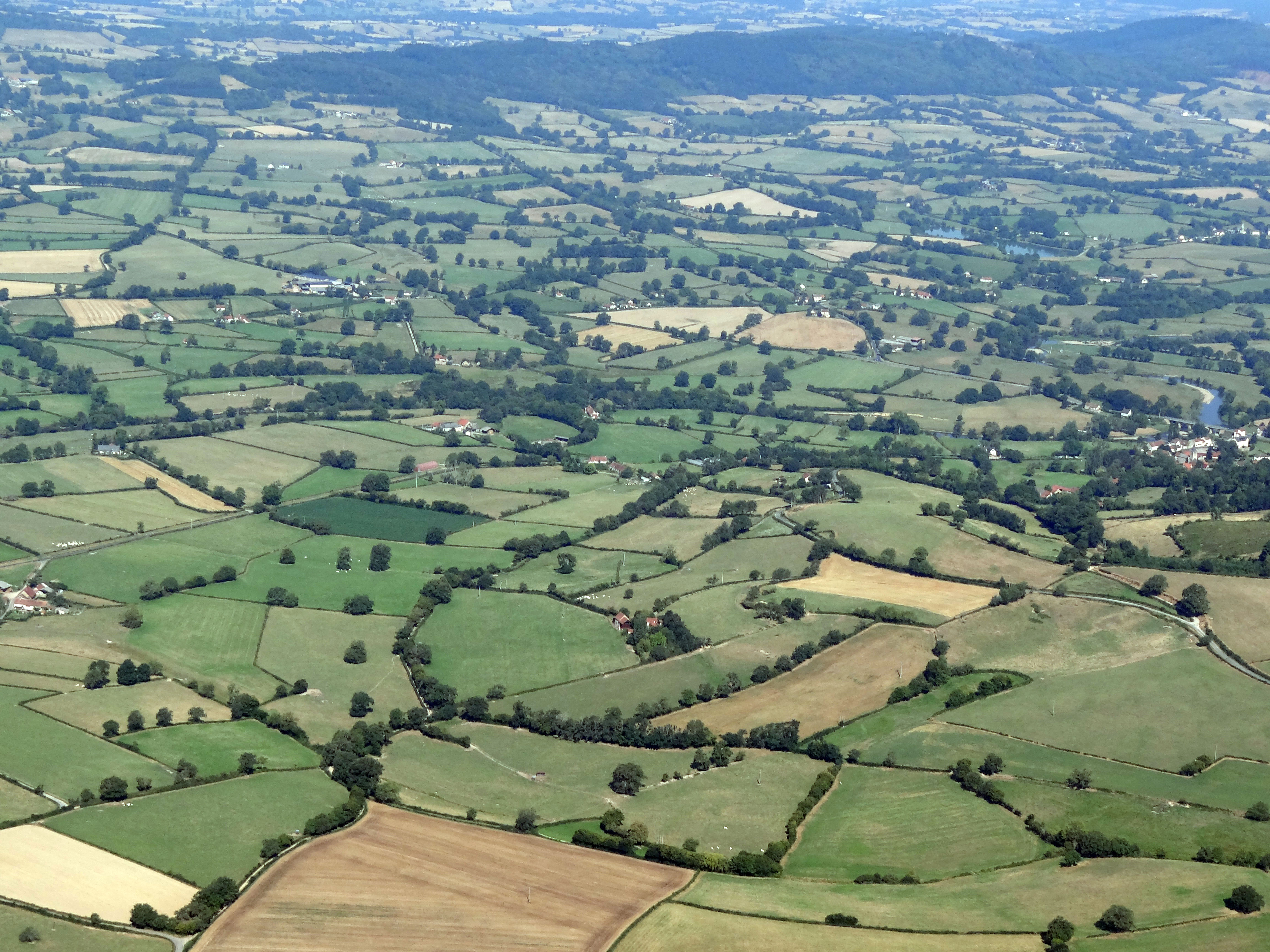 Les prairies composent l’essentiel des superficies, occupant plus de 80% de la SAU. La maille bocagère, composée de haies basses ponctuées d’arbres isolés, encadre de vastes parcelles donnant parfois l’impression d’un paysage boisé. La vallée de l’Arroux à Charbonnat