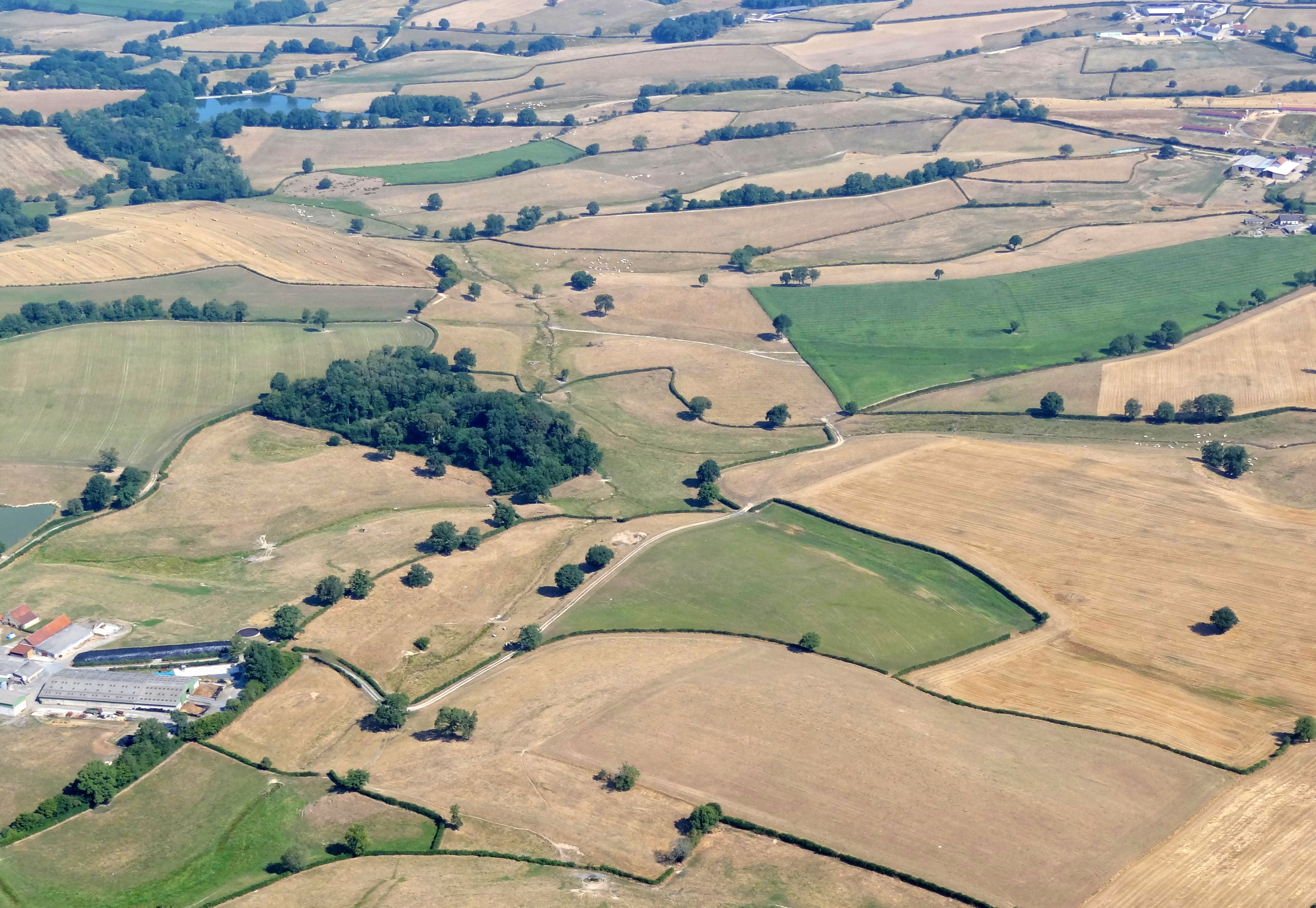 Les surfaces en herbe occupent plus de 80% de la SAU. Elles sont délimitées d’un maillage bocager de haies basses plantées de chênes ou de frênes. Les fermes isolées sont éparpillées sur tout le territoire, distantes que de 500m à 1 km les unes des autres. A gauche la ferme Chez Renaud, à droite fermes du Crot et de Cierge. Neuvy-Grandchamp