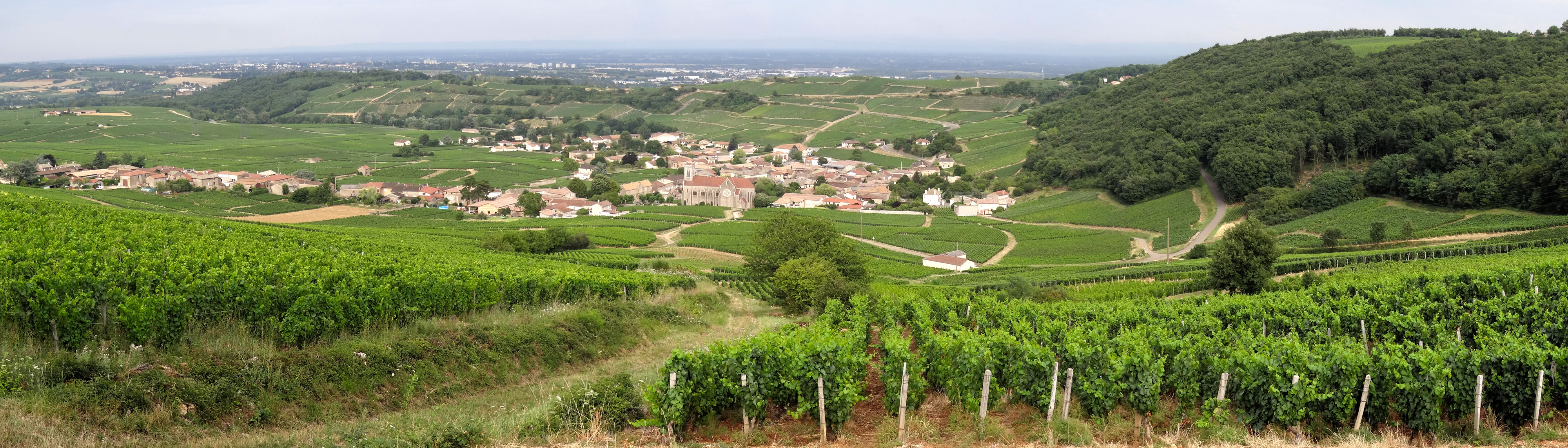 Les pentes du Sud-Mâconnais ouvrent des perspectives sur les villages et la vallée de la Saône. Fuissé 