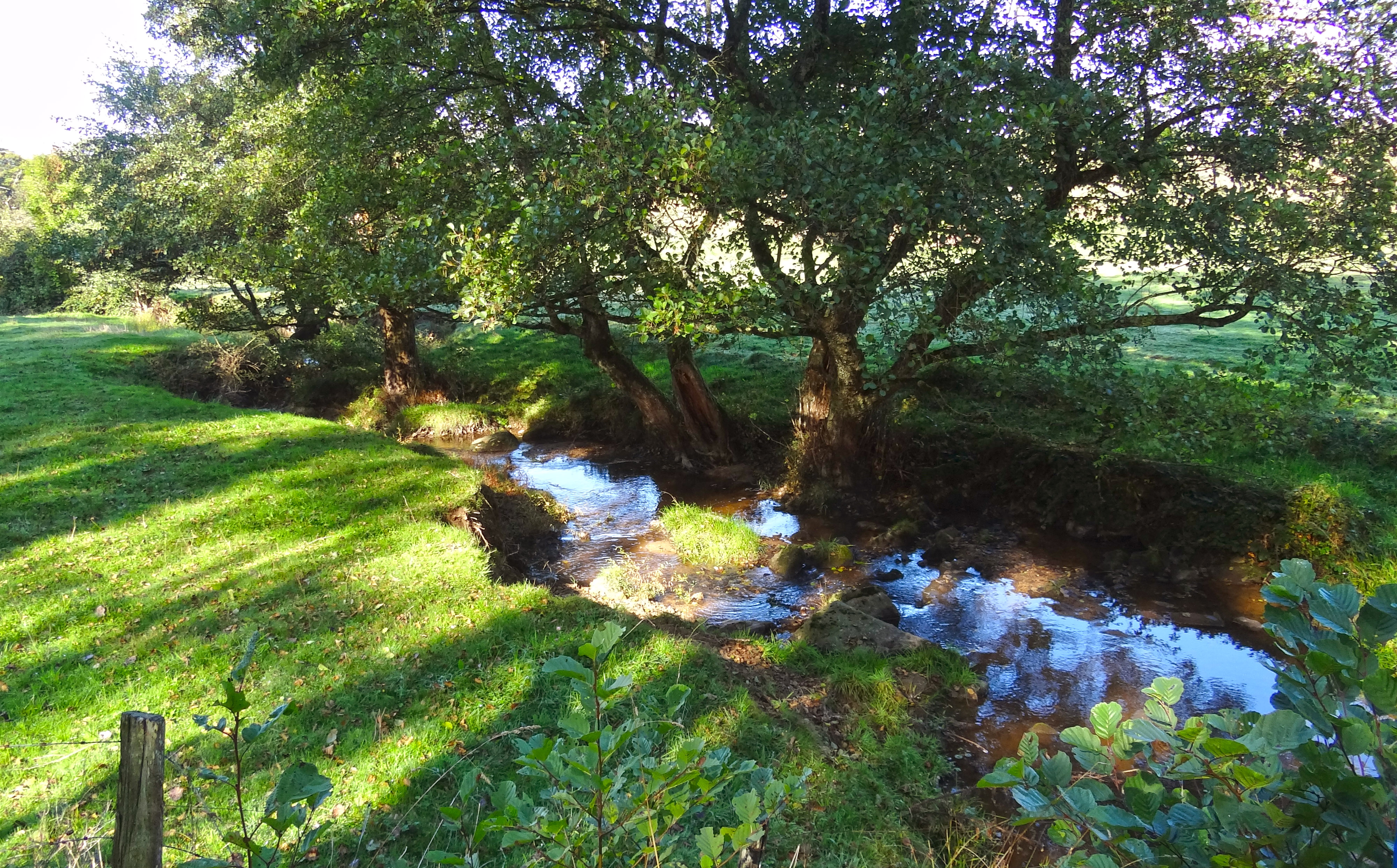 La rivière