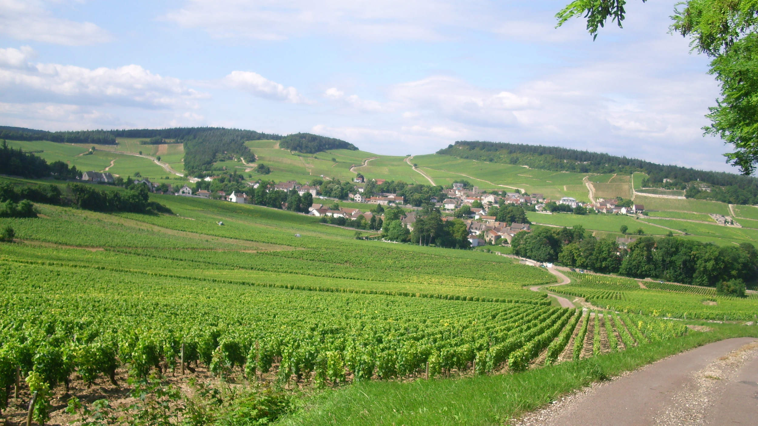 Le vignoble de Mercurey