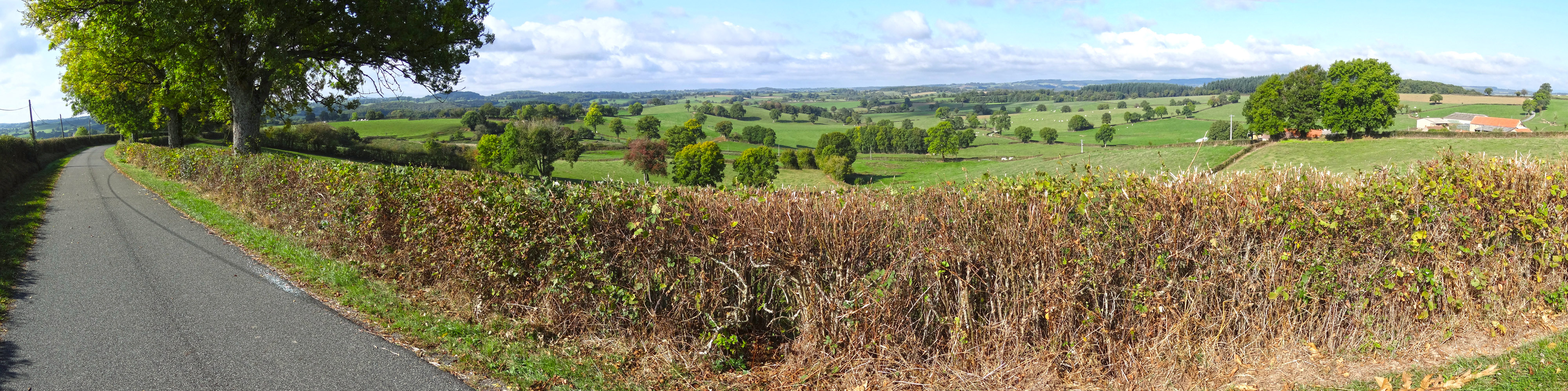 Le Bourbonnais présente un paysage ondulé, ouvert sur un réseau de haies basses taillées et d’arbres isolés qui laissent des échappées vers des collines aux sommets boisés. Issy-l'Evêque