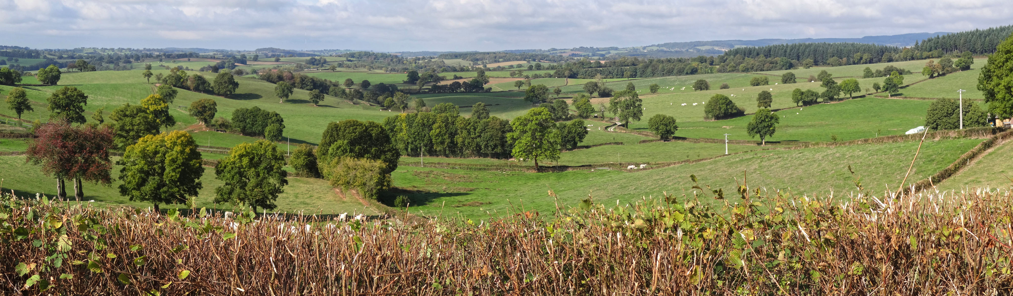 Entre Morvan, Arroux et vallée de la Loire, les Collines du Bourbonnais forment un paysage de longues collines bocagères ponctuées d’arbres isolés et de petits bois. Issy-l'Evêque 