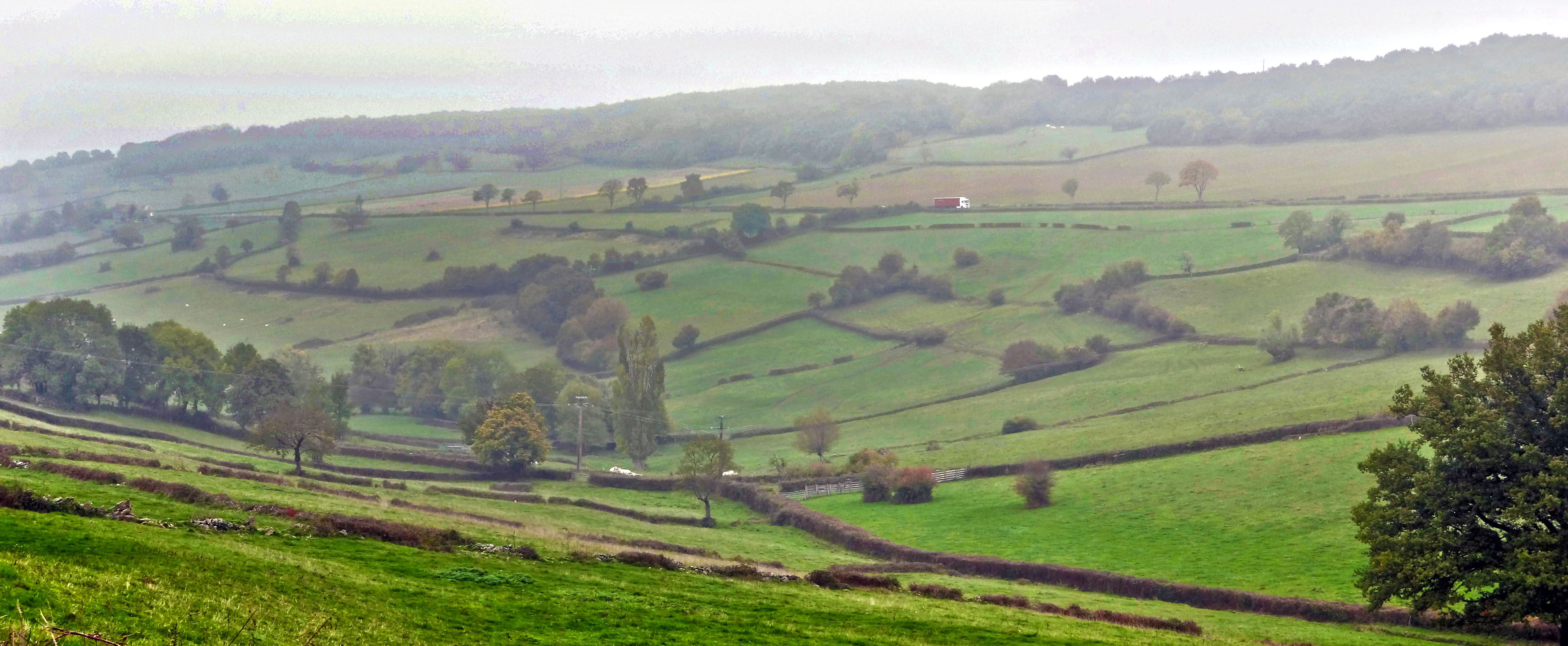 La haie bocagère