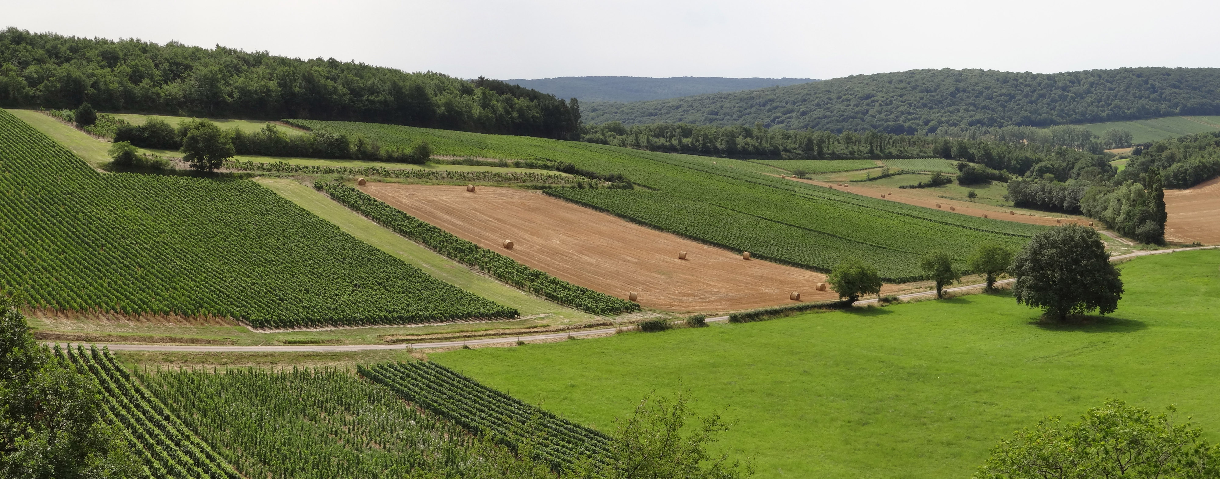Le boisement, la forêt