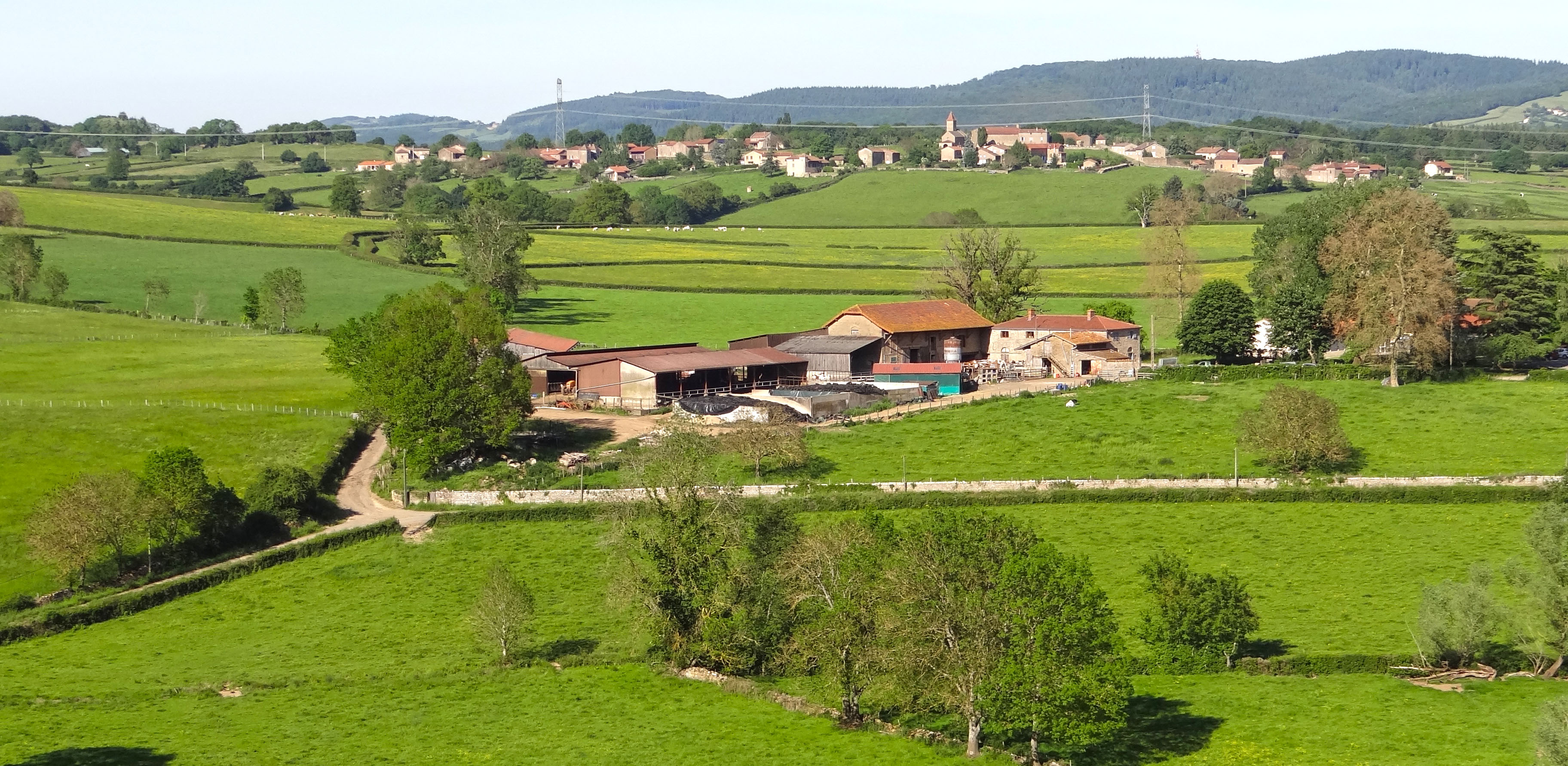 La ferme 