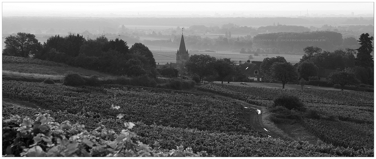 Le vignoble de Mercurey 