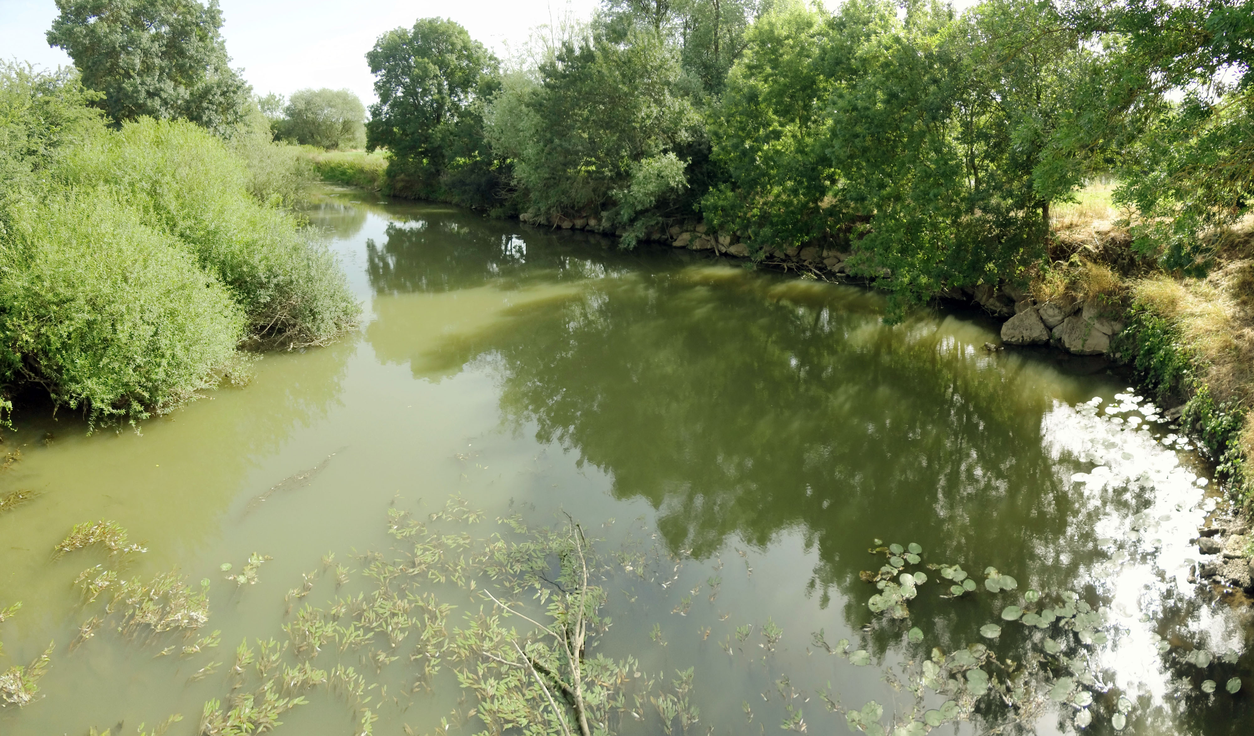 La rivière