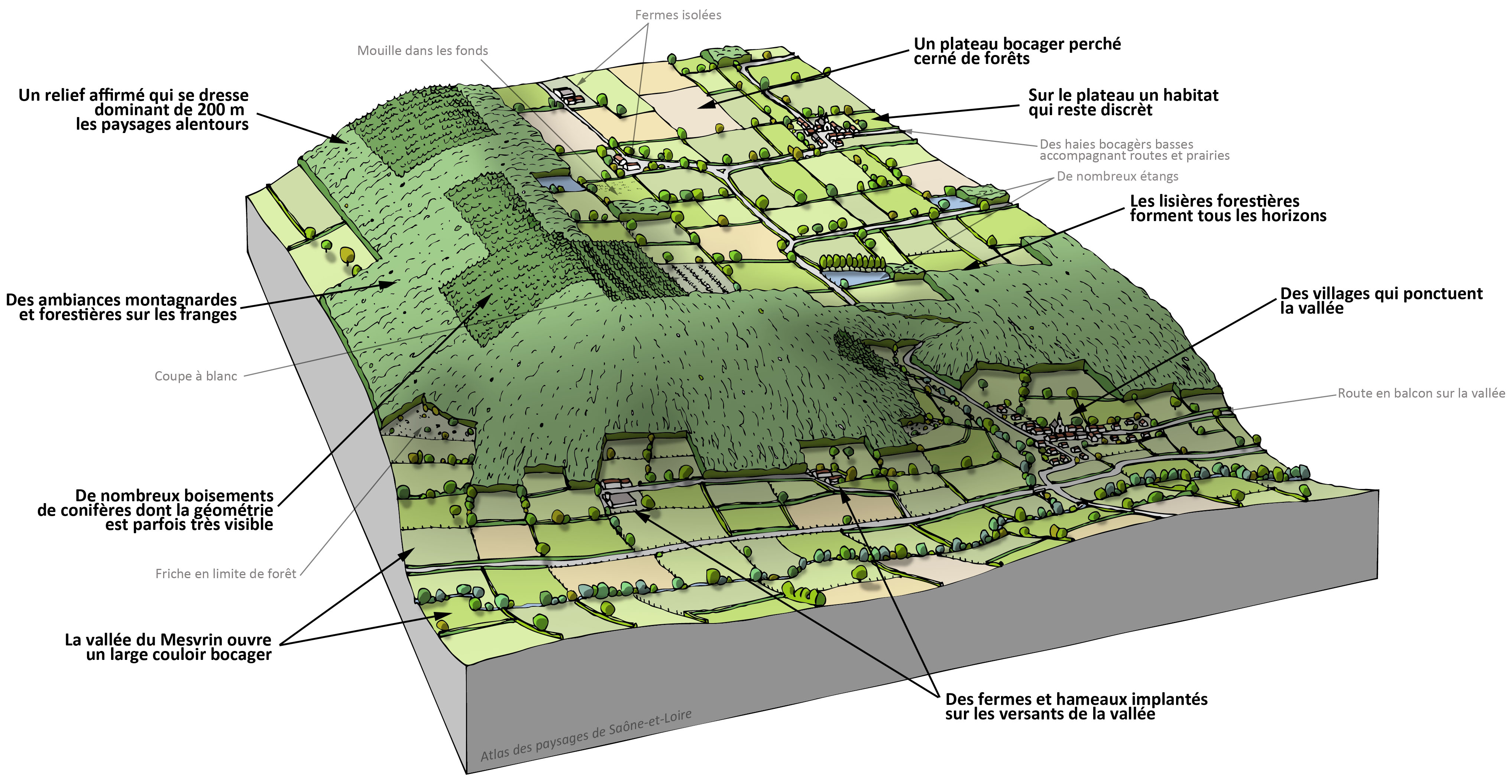 Montagne Autunoise bloc diagramme unité
