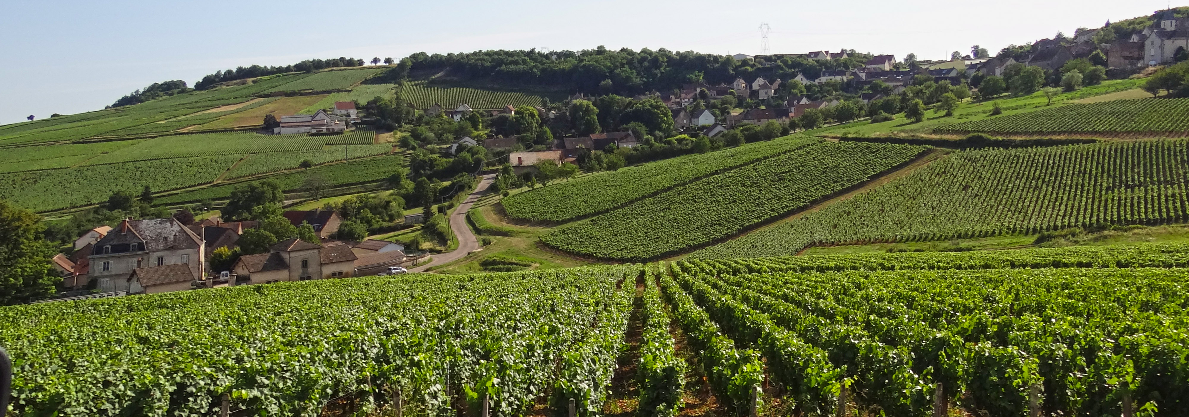 Au sein des vallons le paysage change d'échelle et devient plus intime. Montagny-lès-Buxy